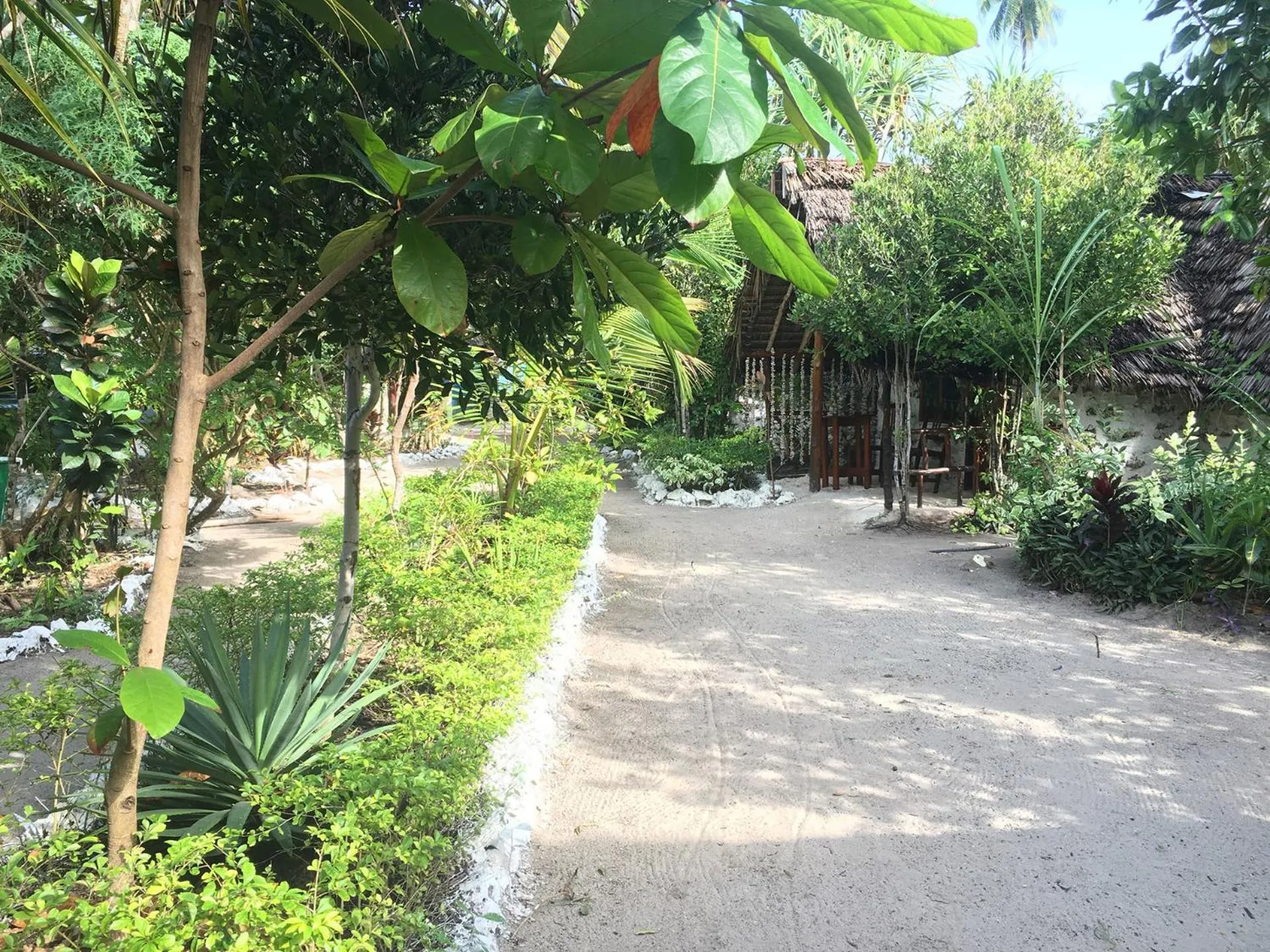 Garden in Mount Zion Lodge