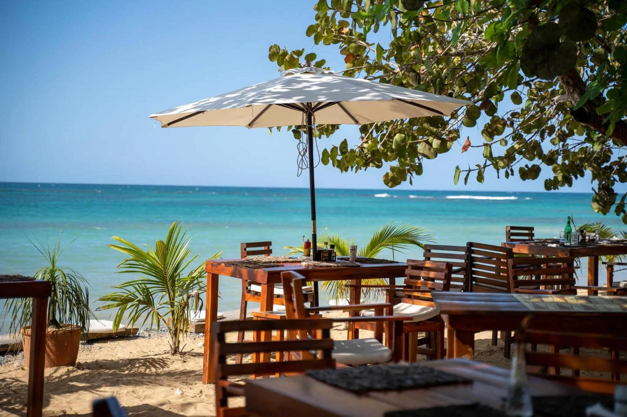 Restaurant/places to eat in Afreeka Beach Hotel