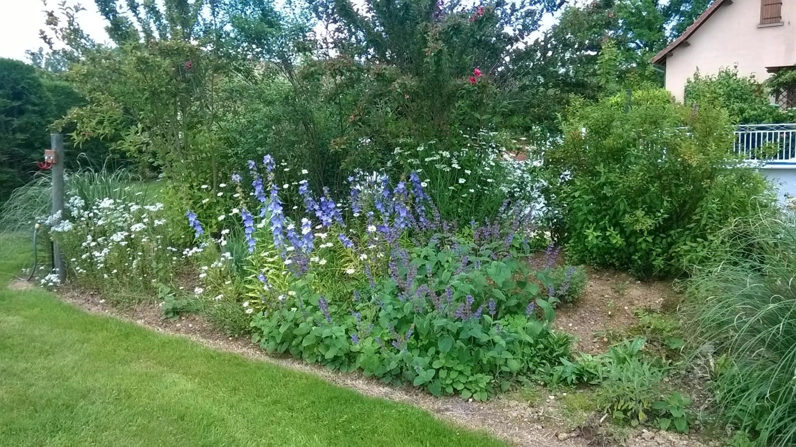 Garden view in Maison Maton