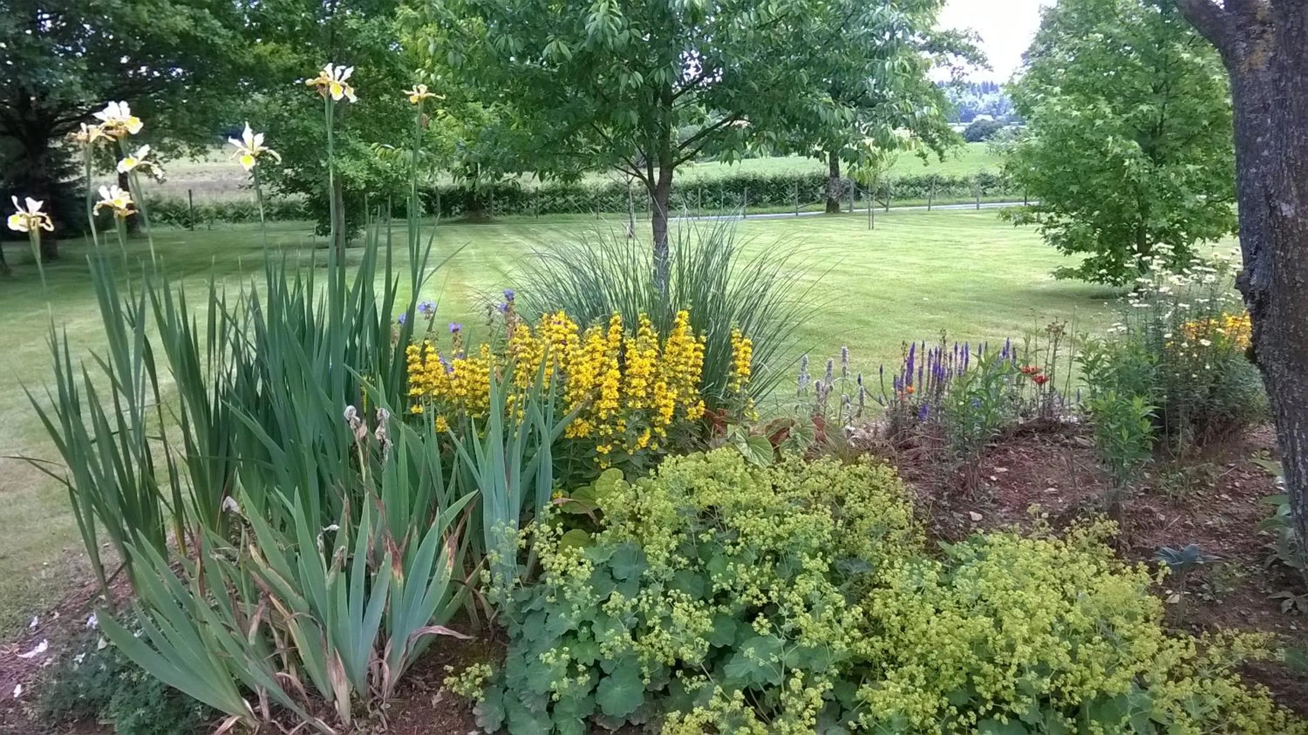 Garden view in Maison Maton