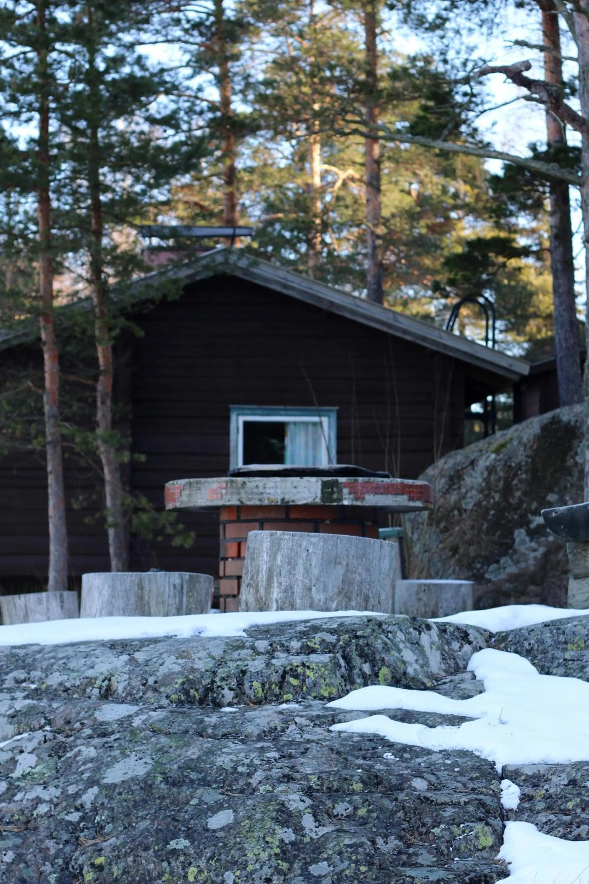 Natural landscape in Hotel Sofia