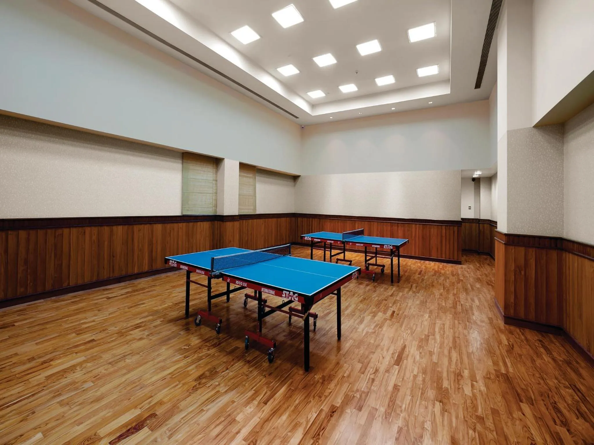 Table tennis in Orange Megastructure LLP