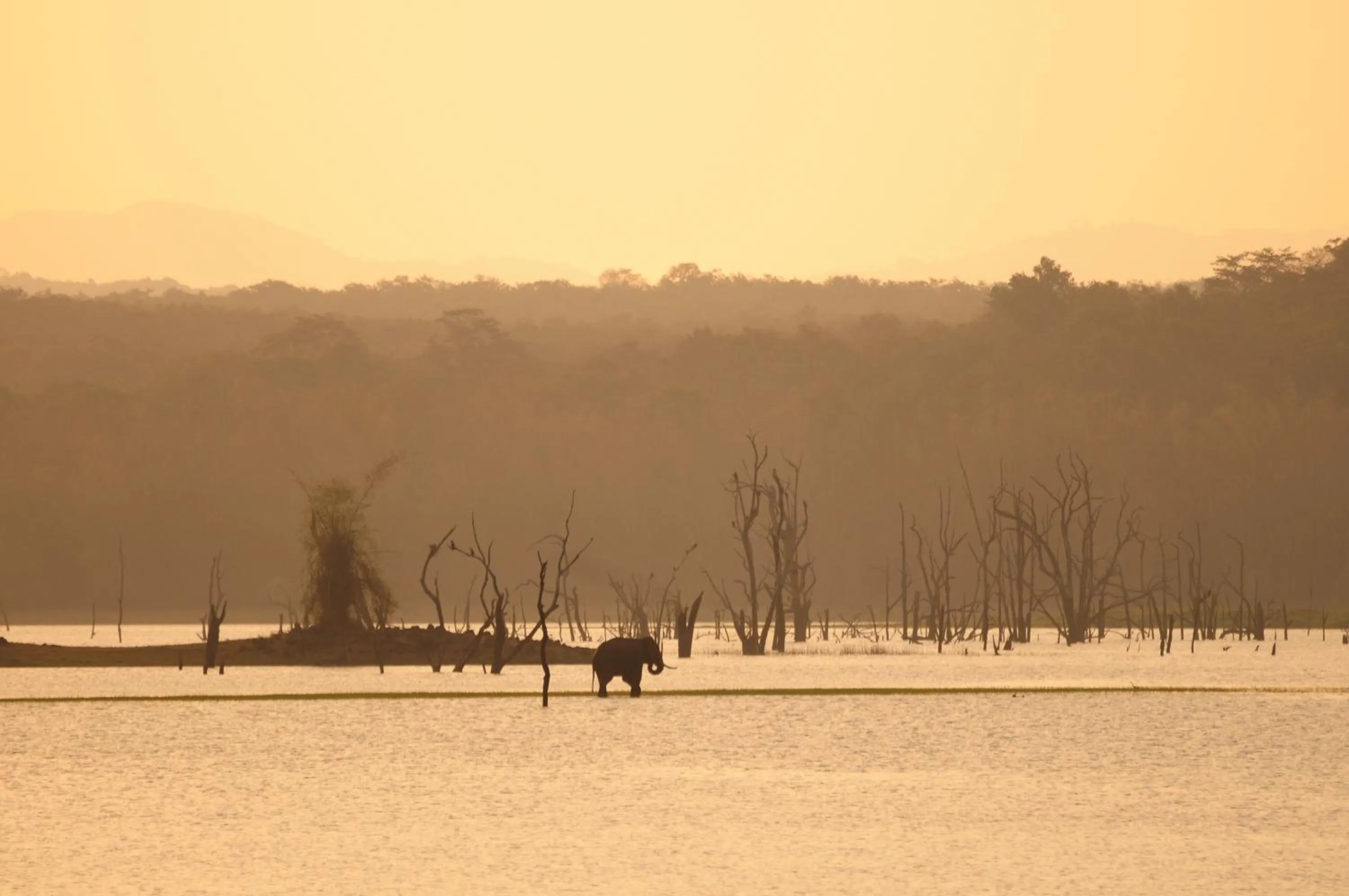 Natural landscape in Evolve Back Kabini