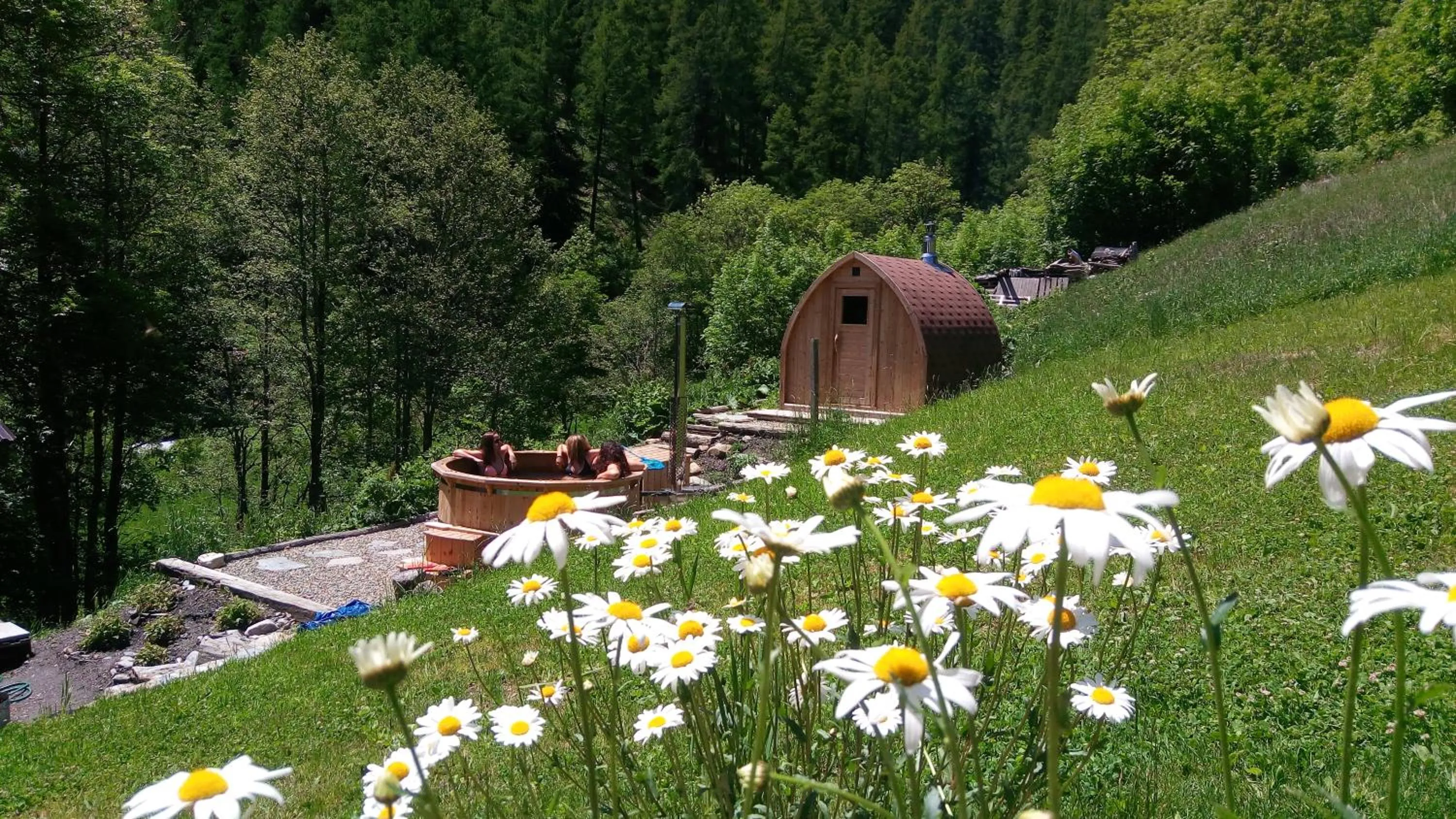 Natural landscape in Nuit a Pleiney