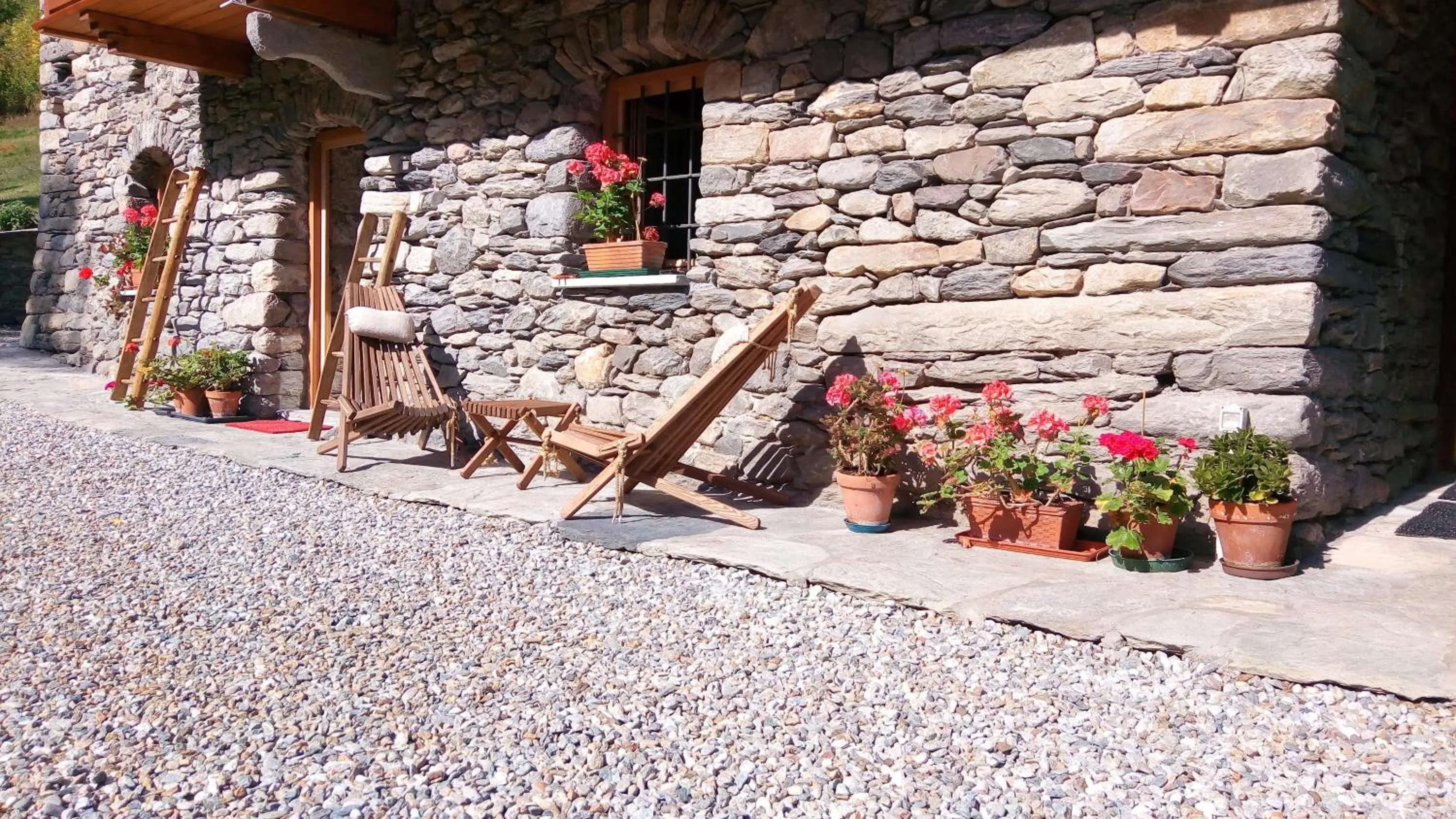 Garden in Nuit a Pleiney