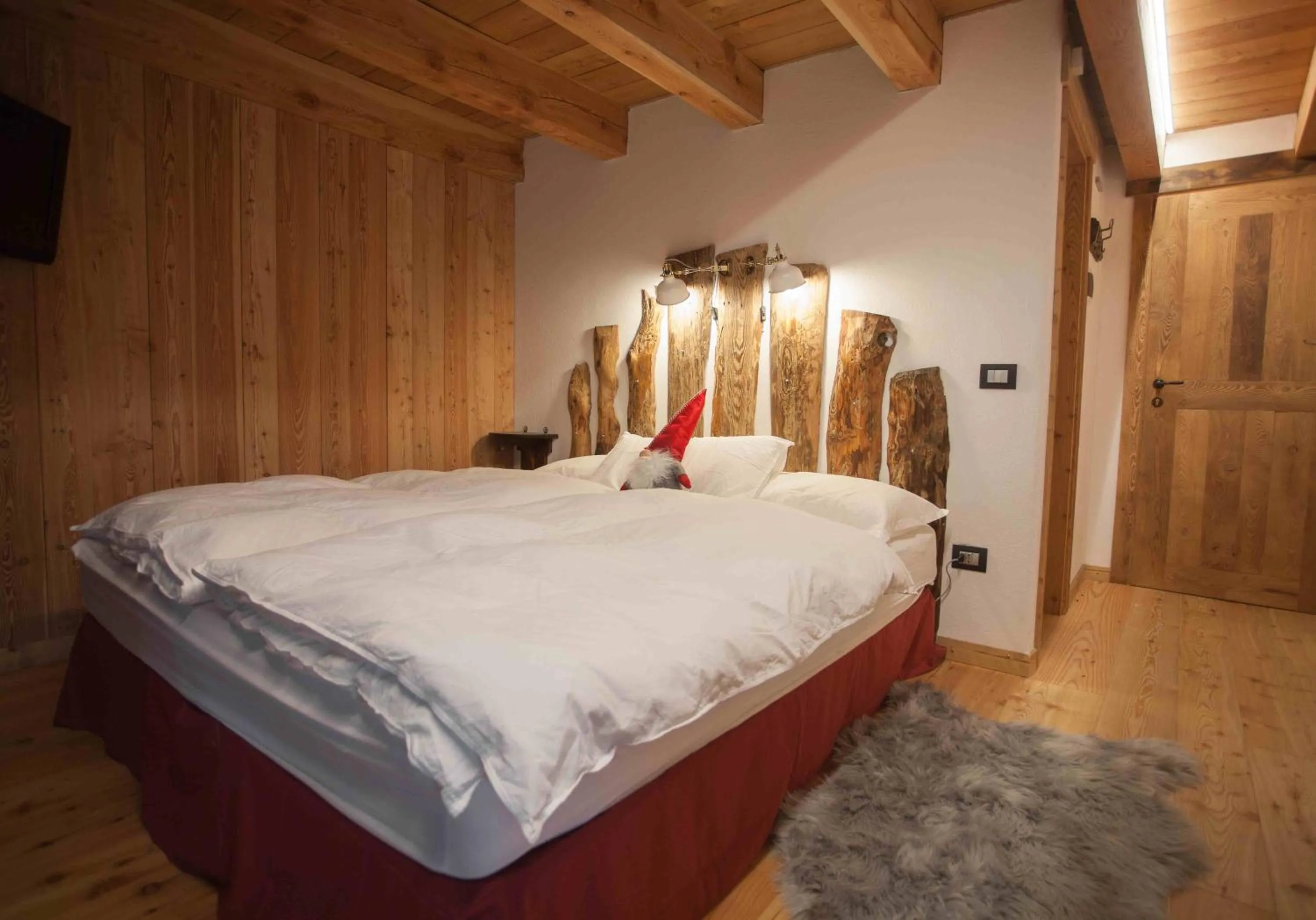 Bed in Nuit a Pleiney