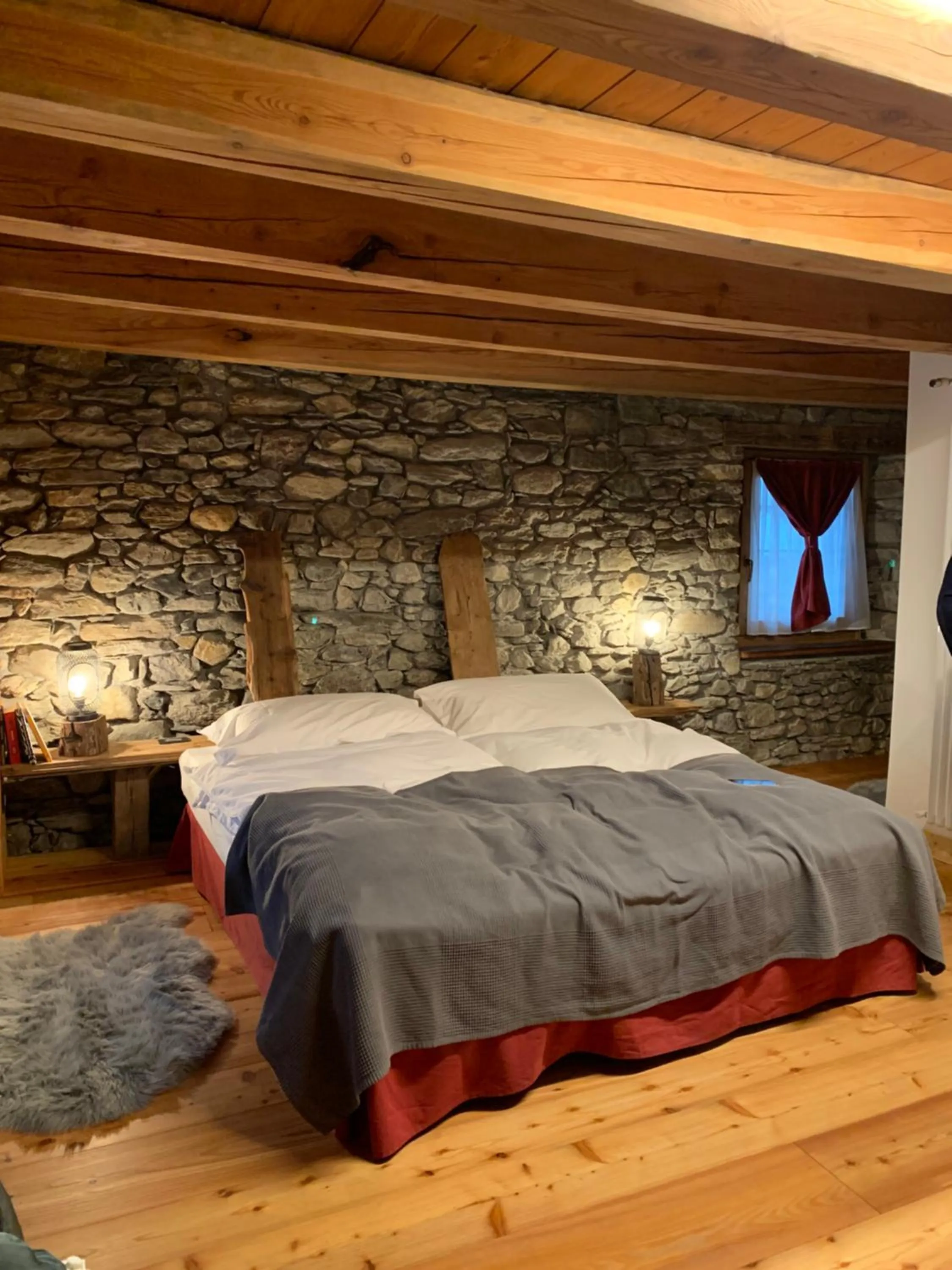 Bed in Nuit a Pleiney