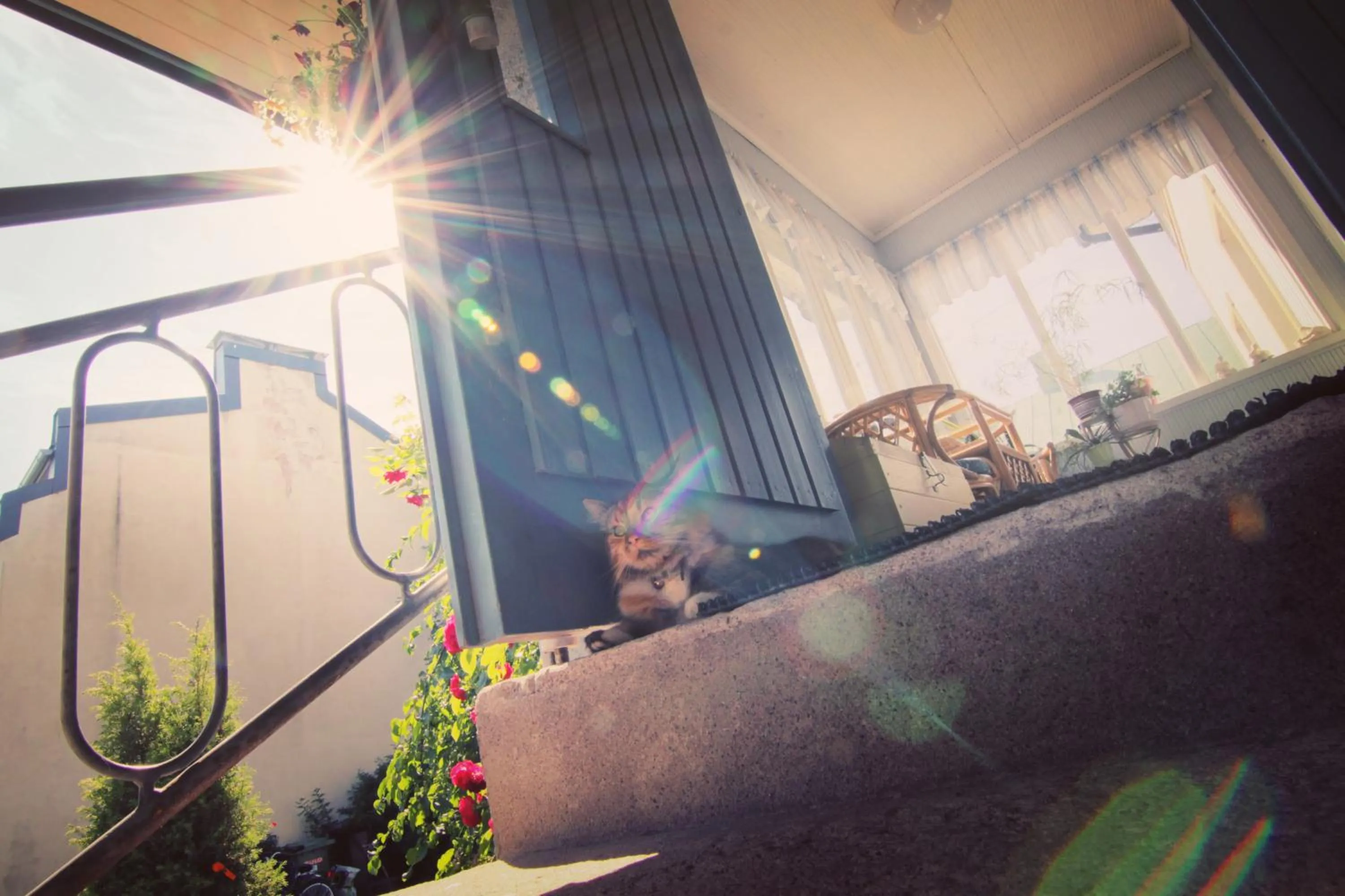 Balcony/Terrace in Apartment Hotel Kuukkarin Kortteeri