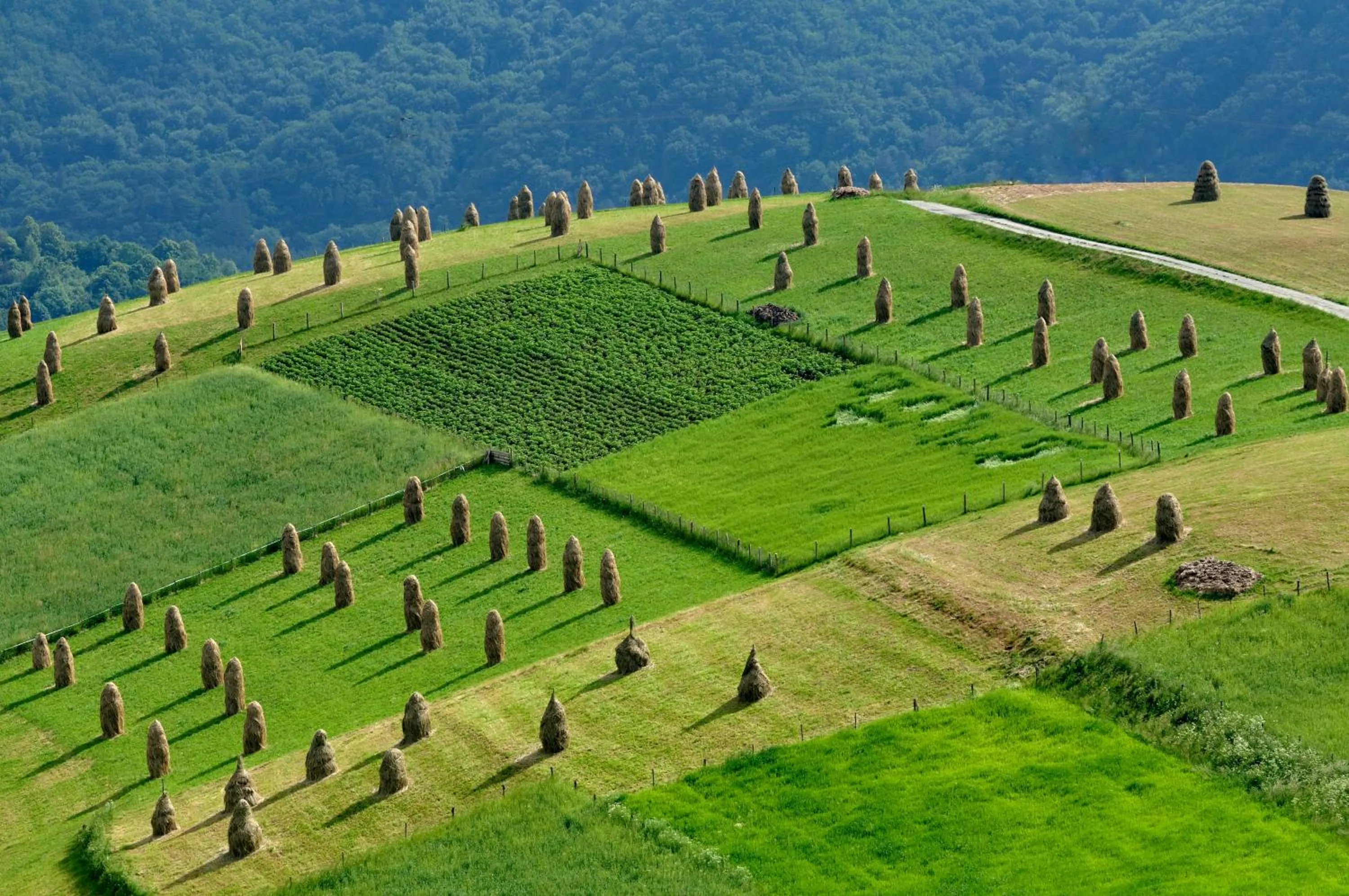 Off site in Hotel Perła Południa