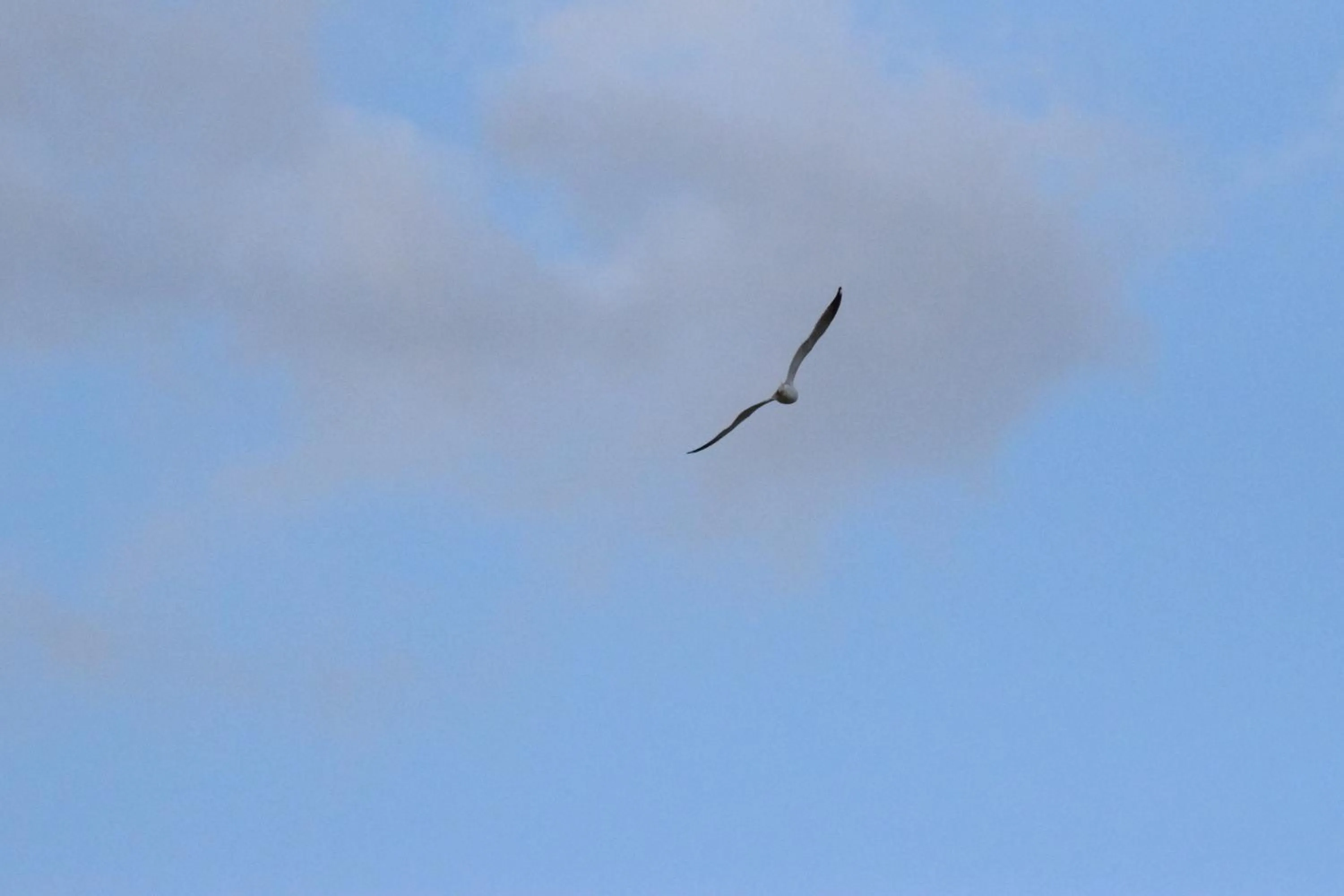 Spring in Villa Il Respiro