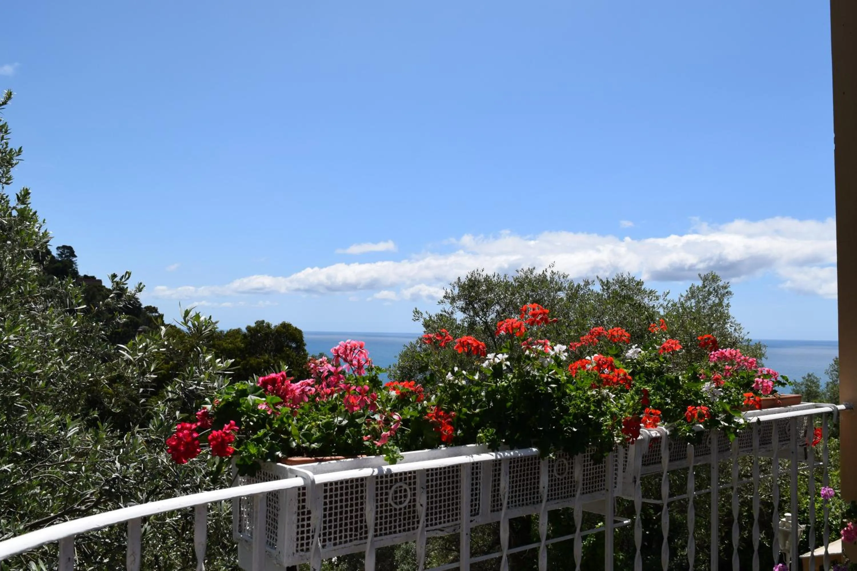 Spring in Villa Il Respiro