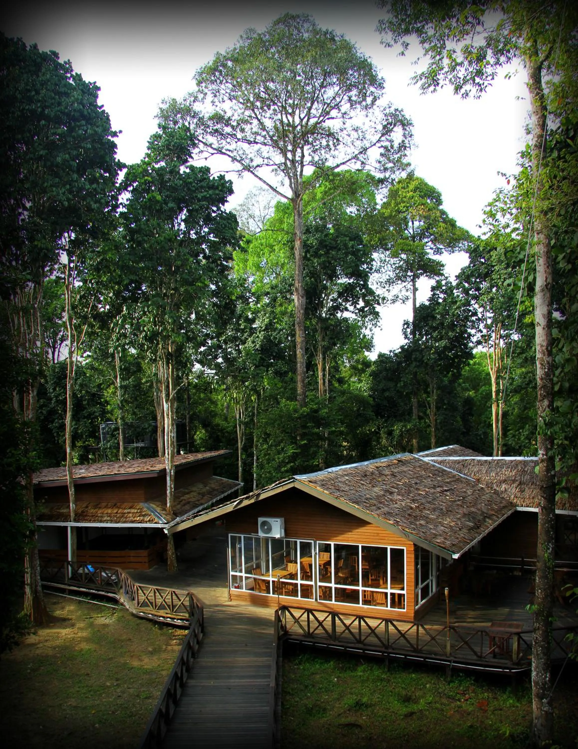 Property building in Borneo Nature Lodge