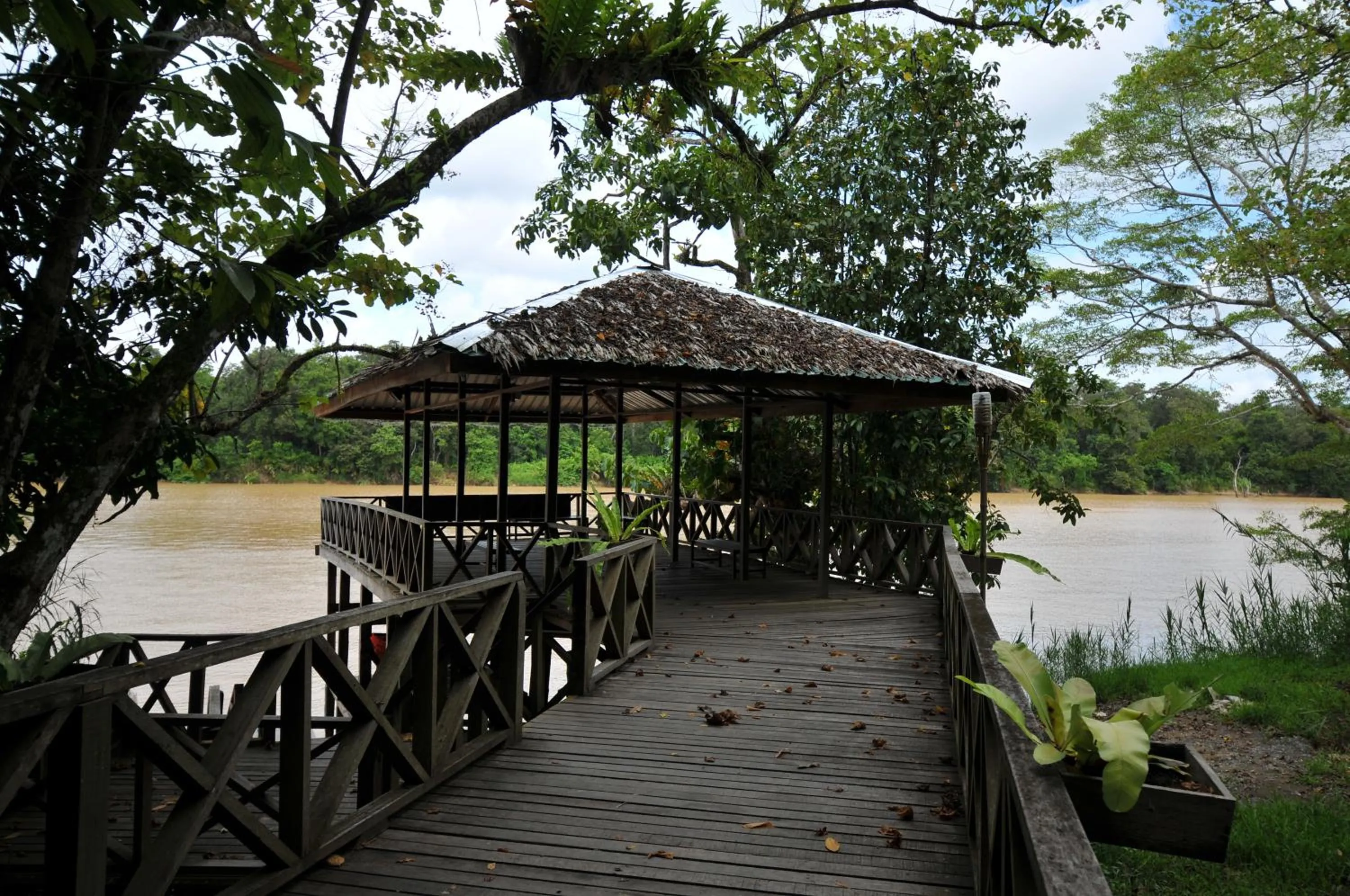 River view in Borneo Nature Lodge