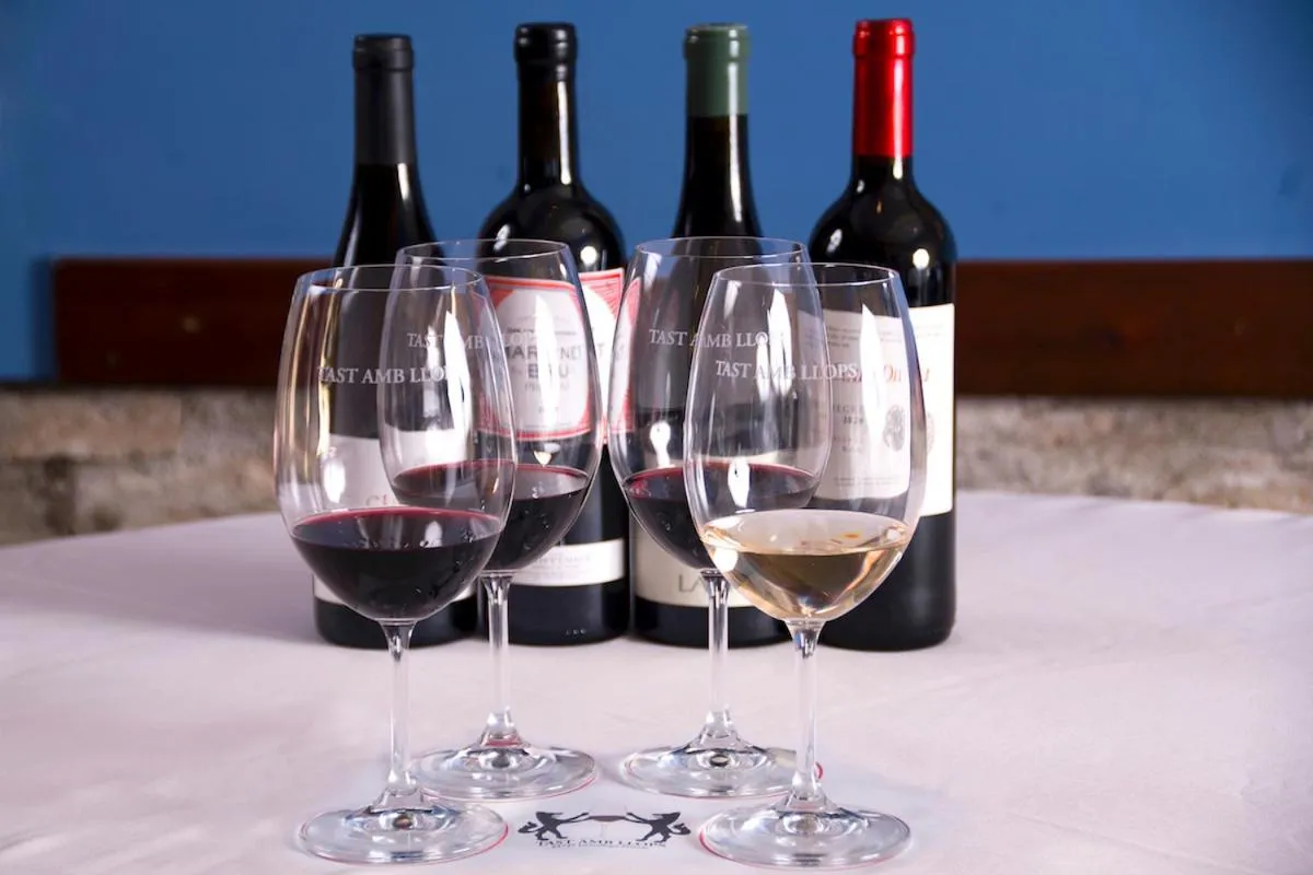 Lounge or bar in Hotel Cal Llop