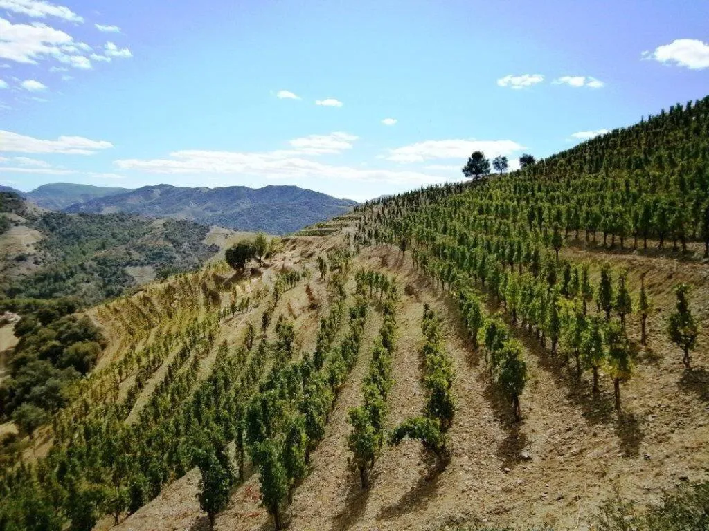 Nearby landmark in Hotel Cal Llop