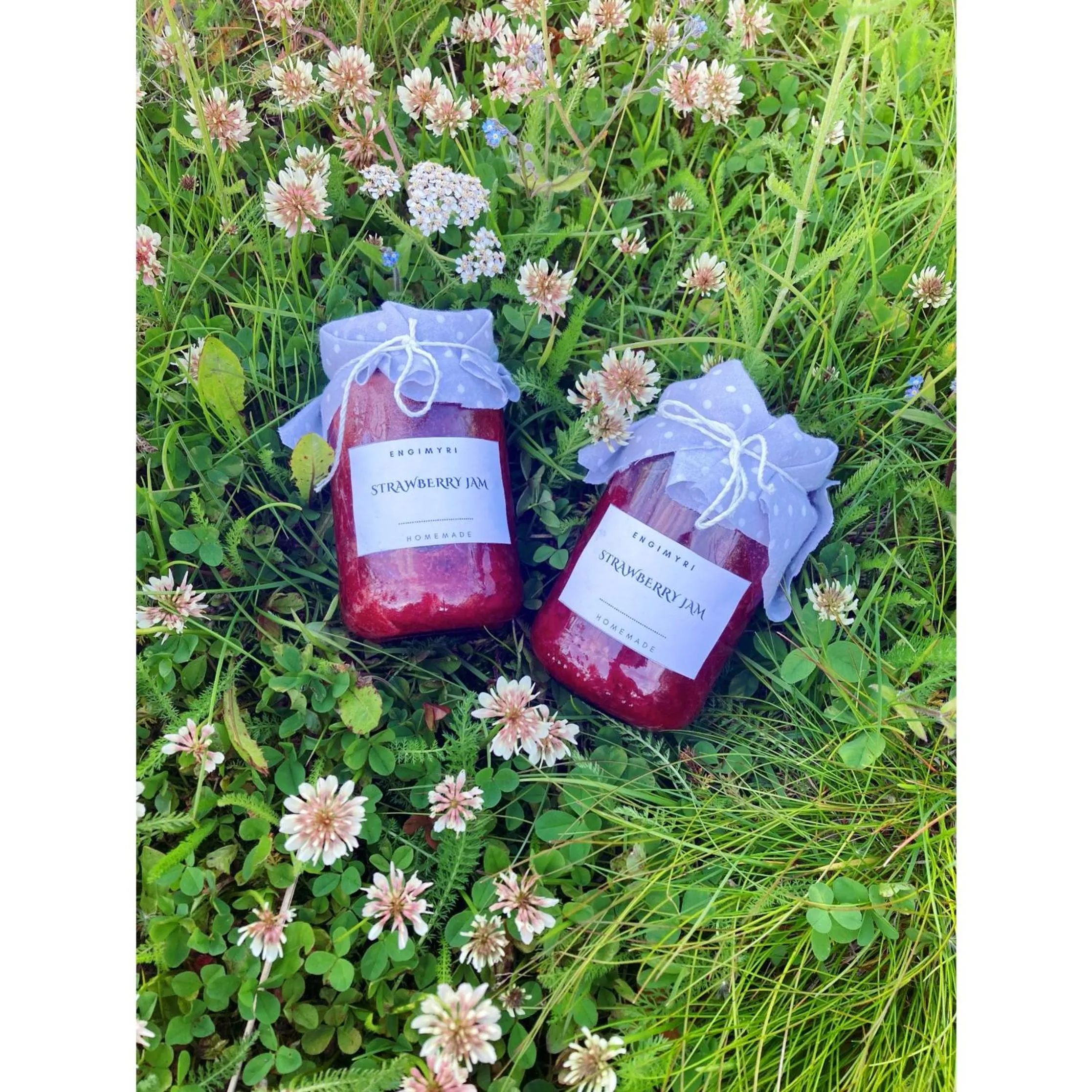 Spring in Engimyri Lodge