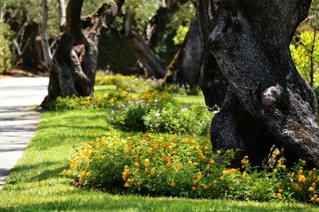 Day in Villaggio Blue Marine