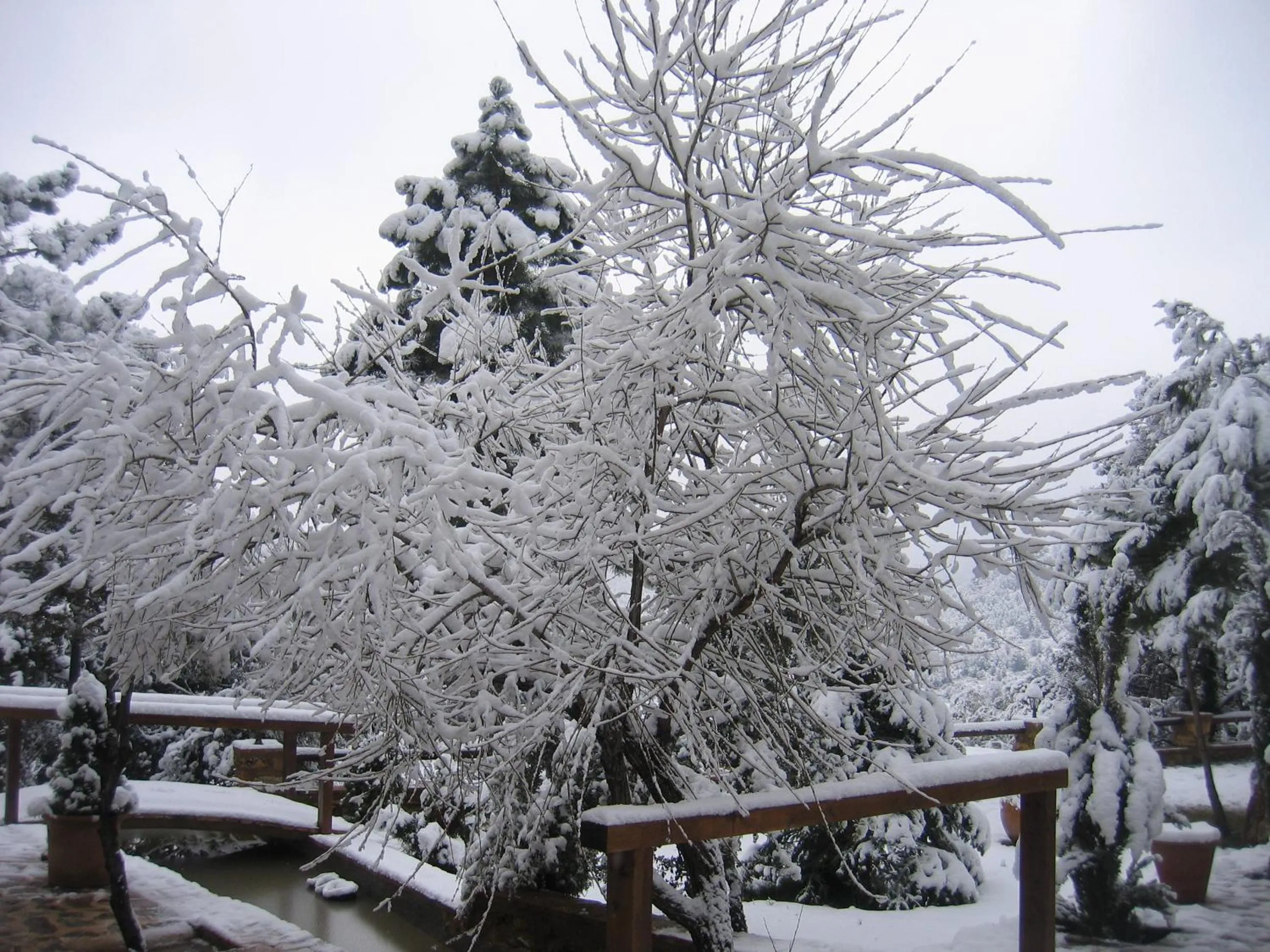 Facade/entrance in Hotel de Montaña Cueva Ahumada