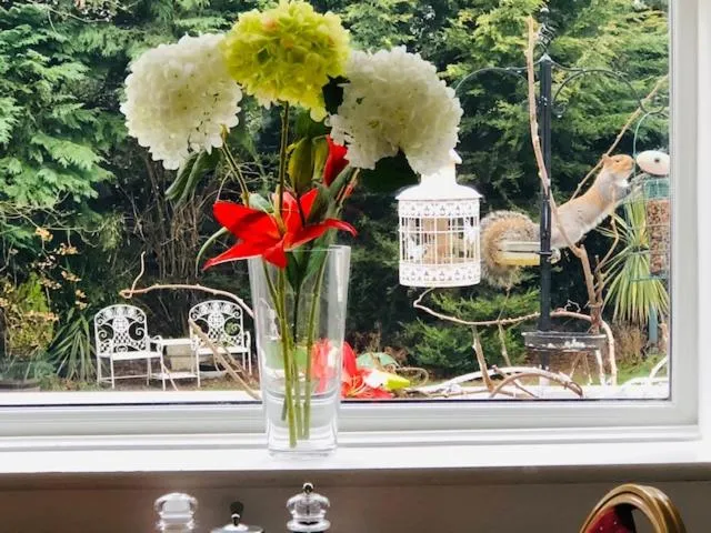 Garden view in Avonpark House