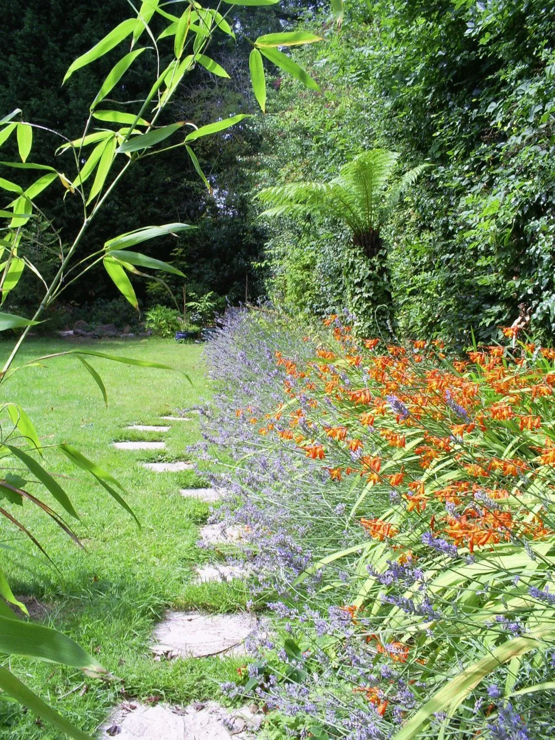 Garden in Avonpark House
