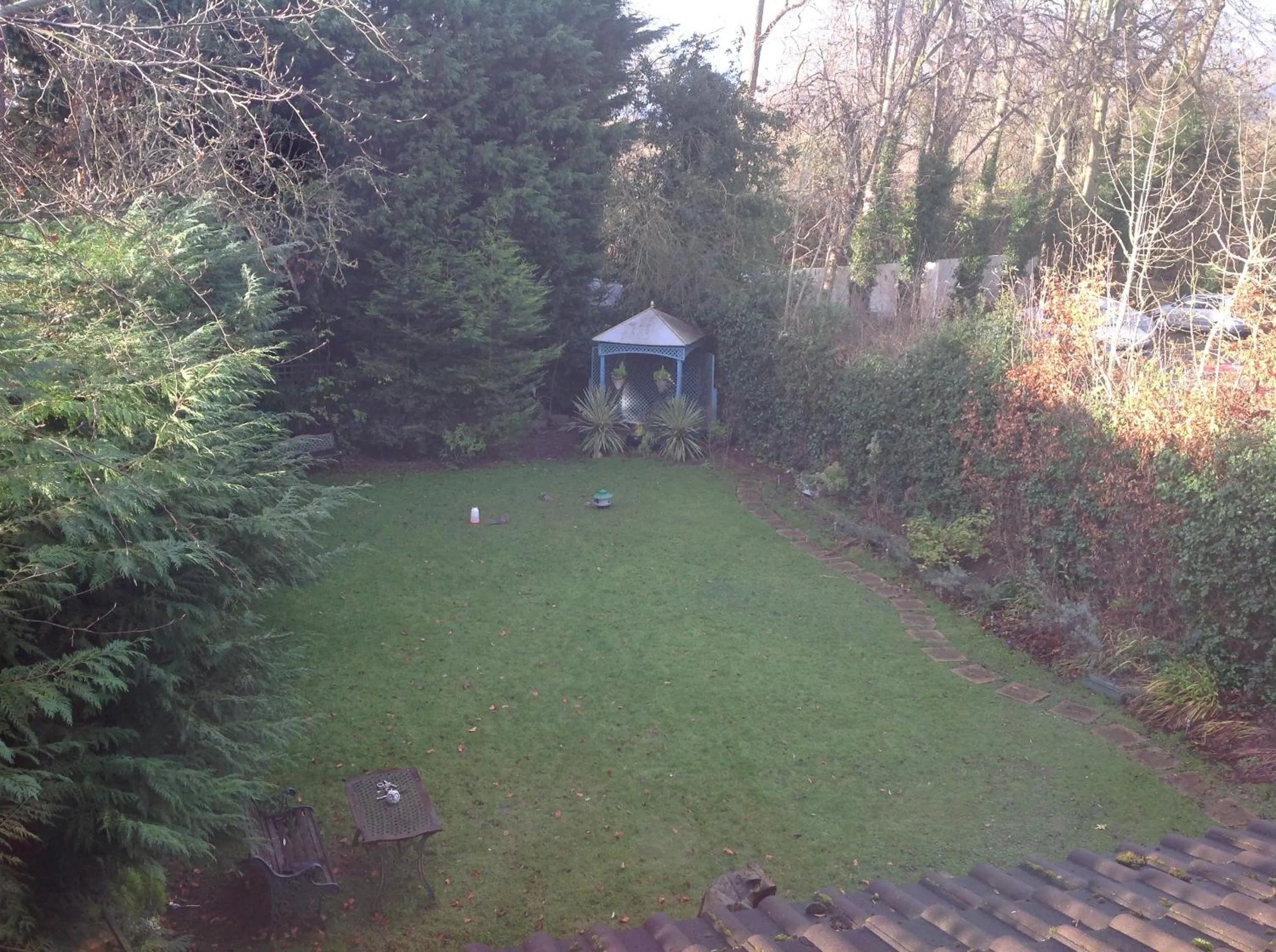 Garden in Avonpark House