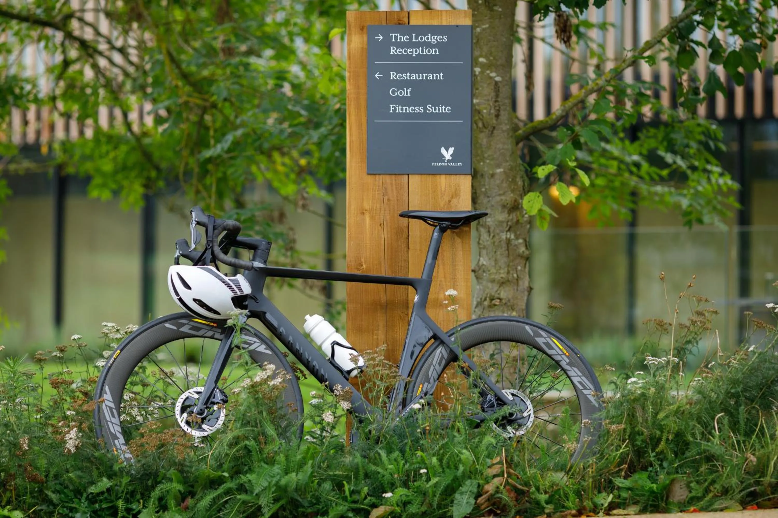 Natural landscape in Feldon Valley