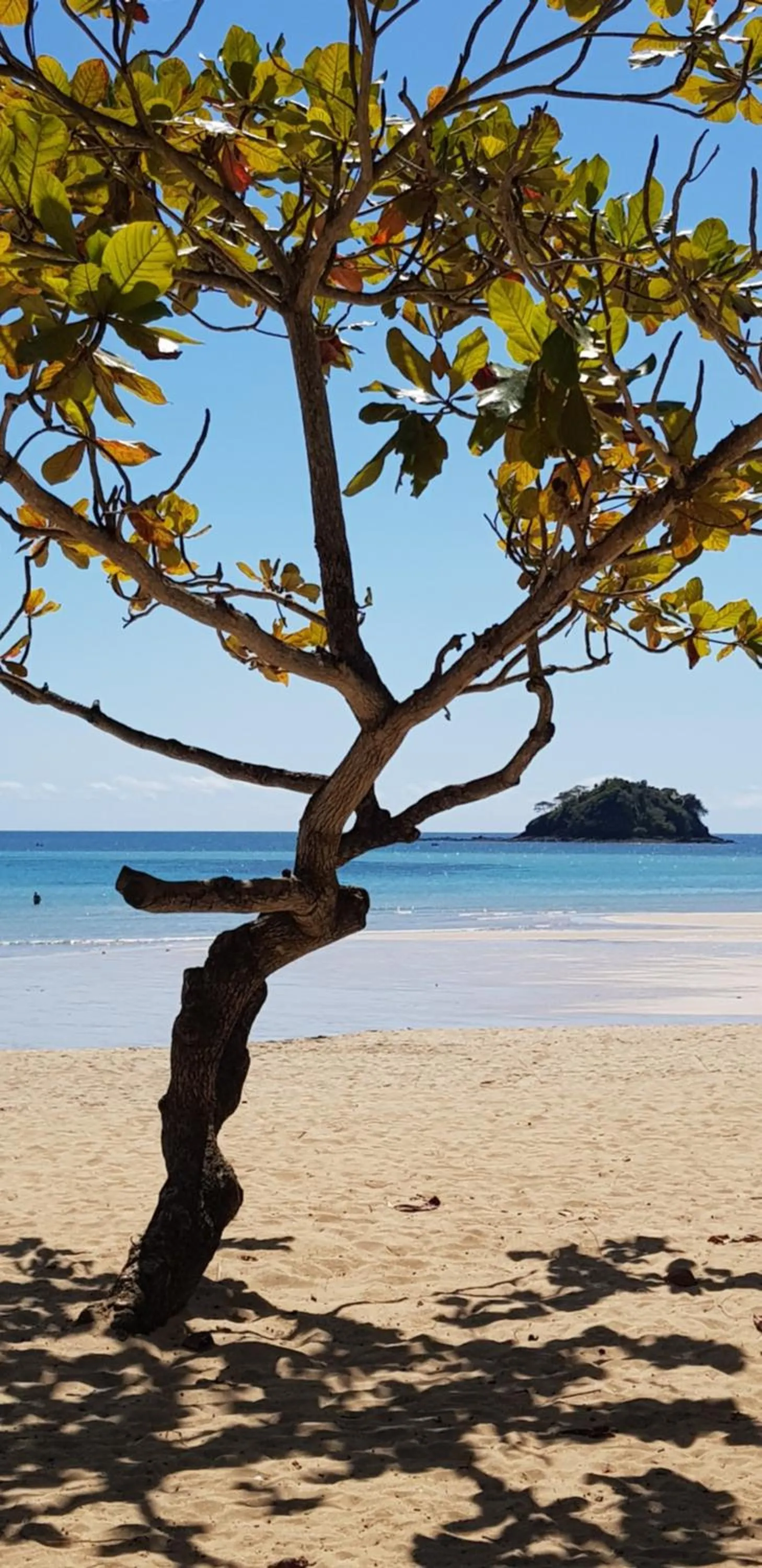 Beach in villa nosy détente