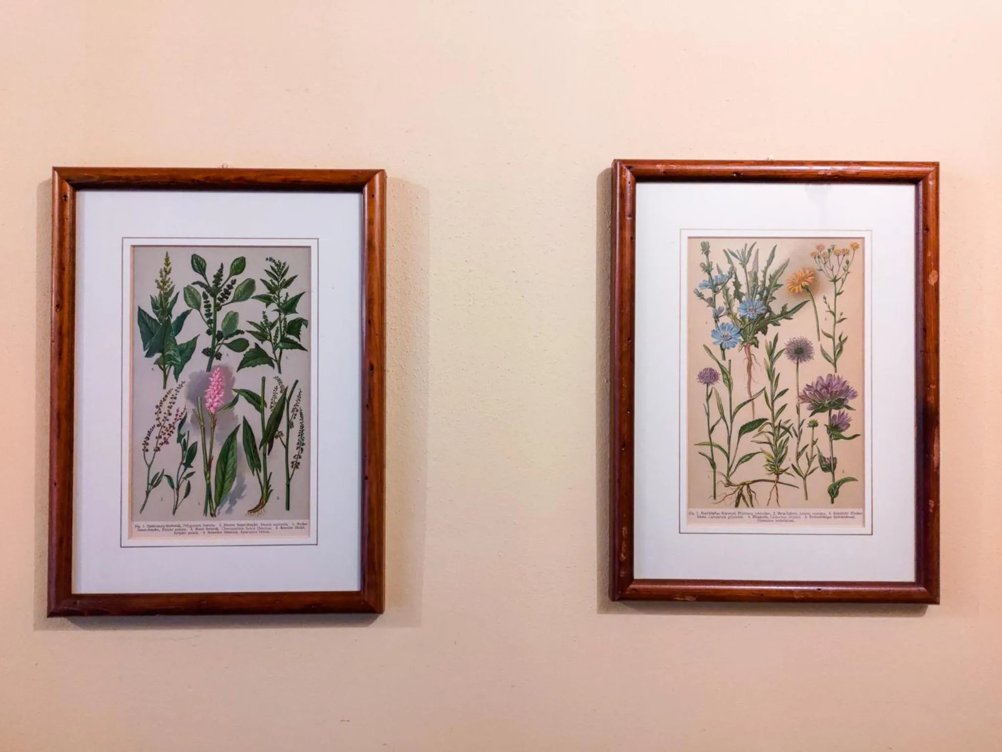 Agriturismo Rio Verde