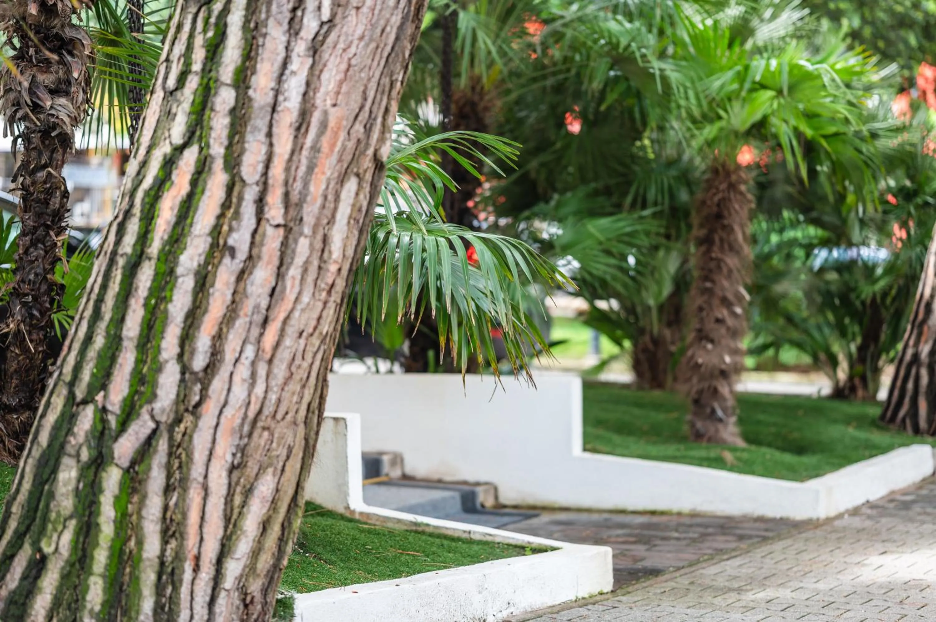 Garden view in Hotel Europa