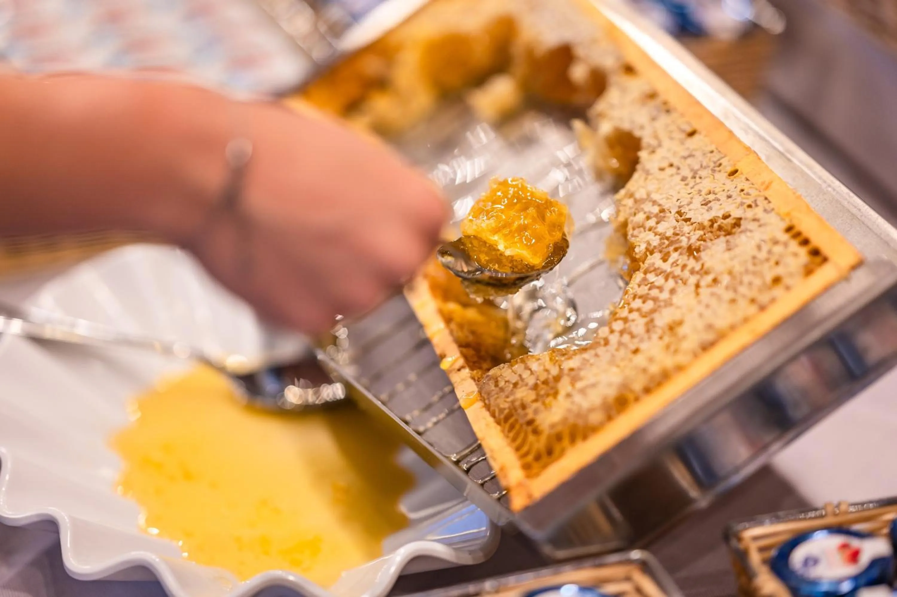 Buffet breakfast in Hotel Europa