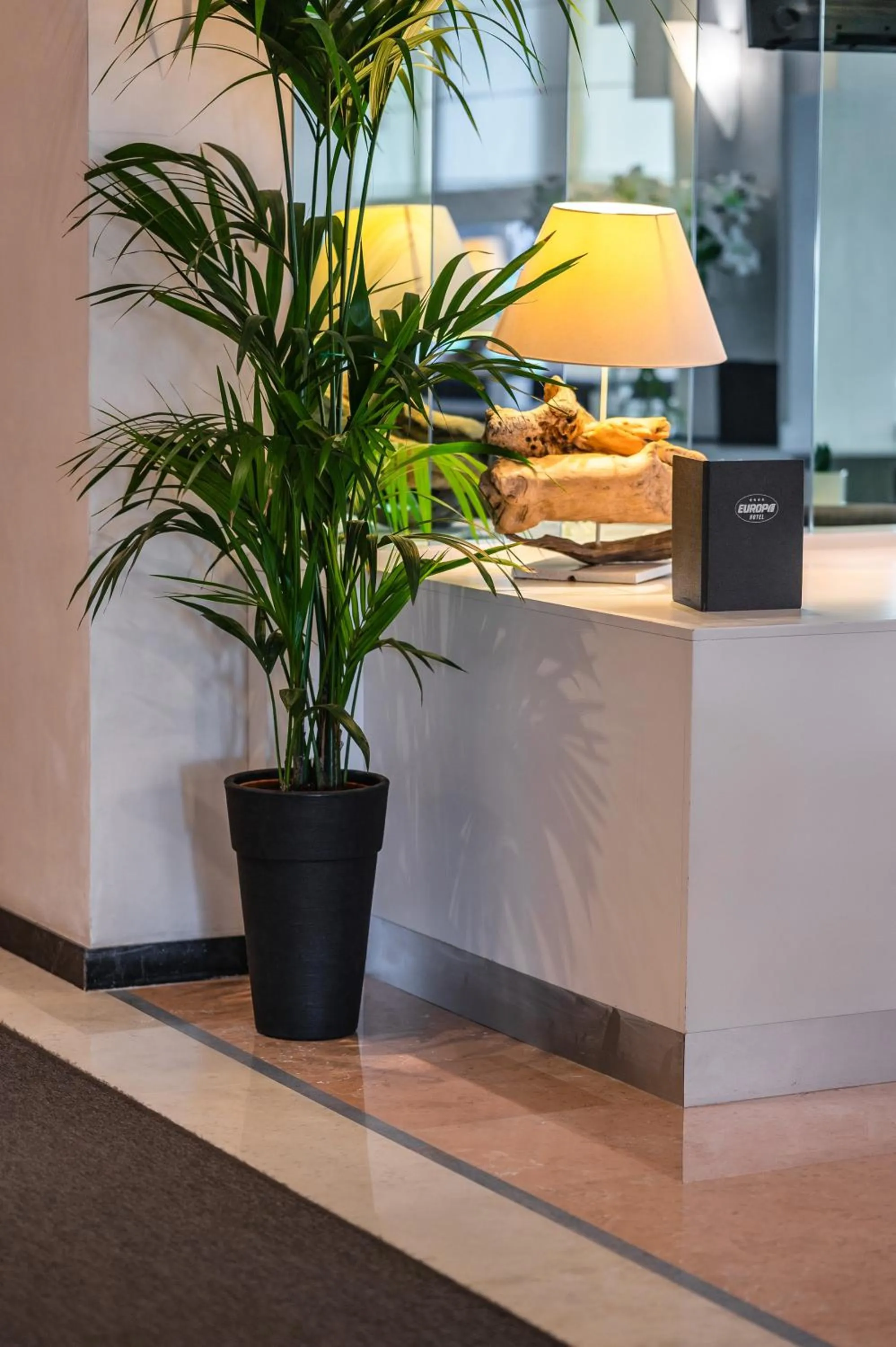 Lobby or reception in Hotel Europa