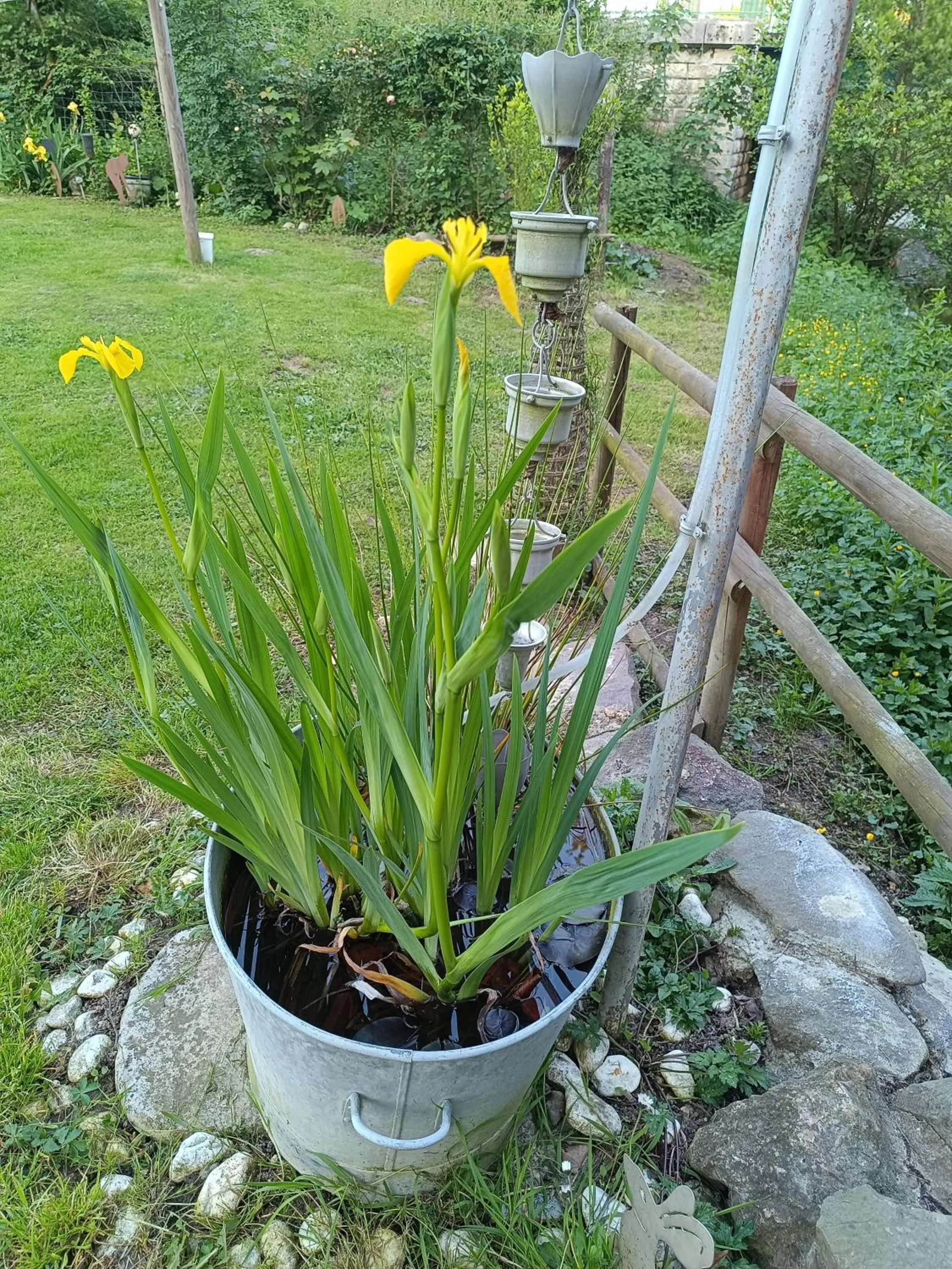 Spring in Chambres d'hotes du Port Gautier