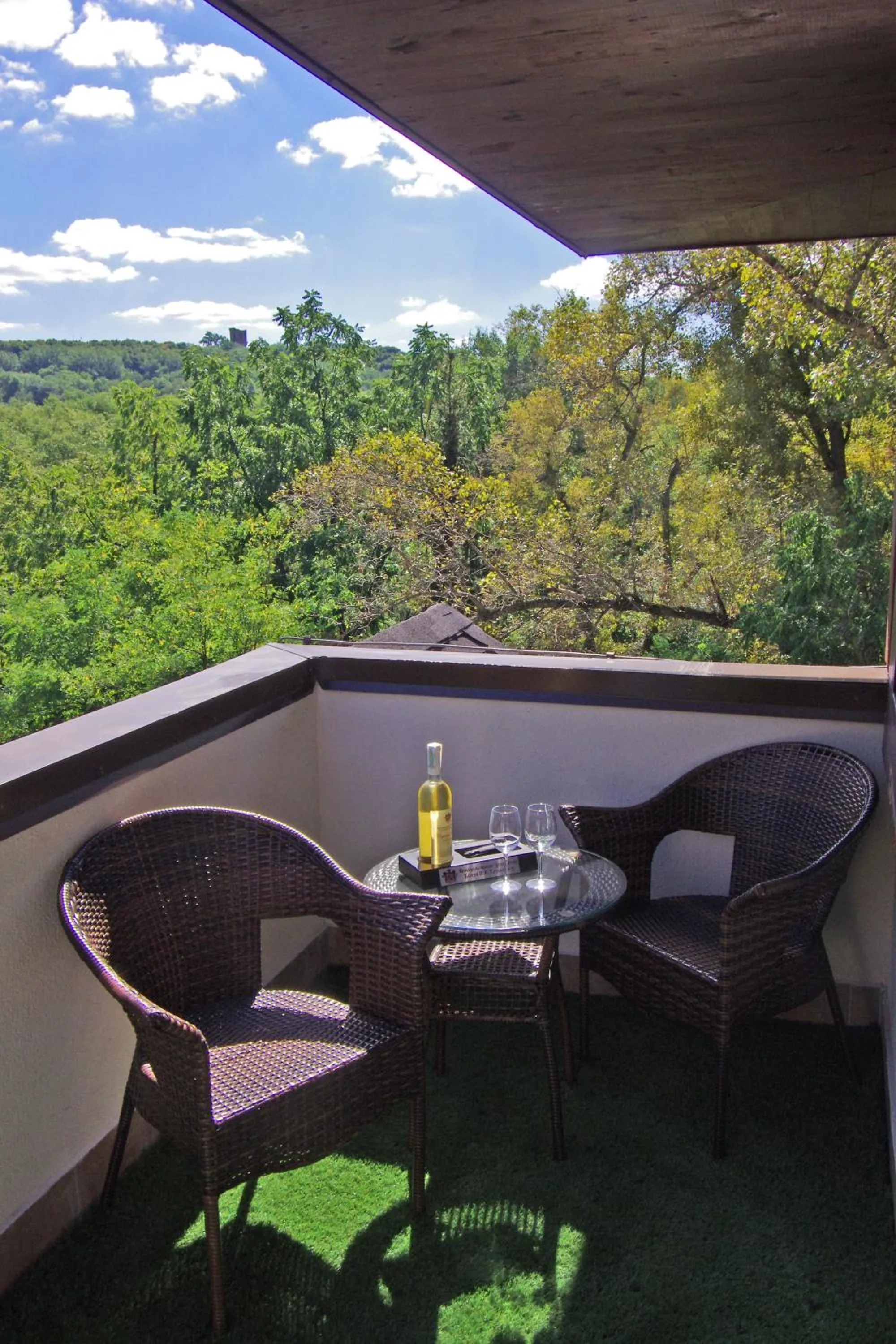 View (from property/room) in Park-Hotel Golosievo