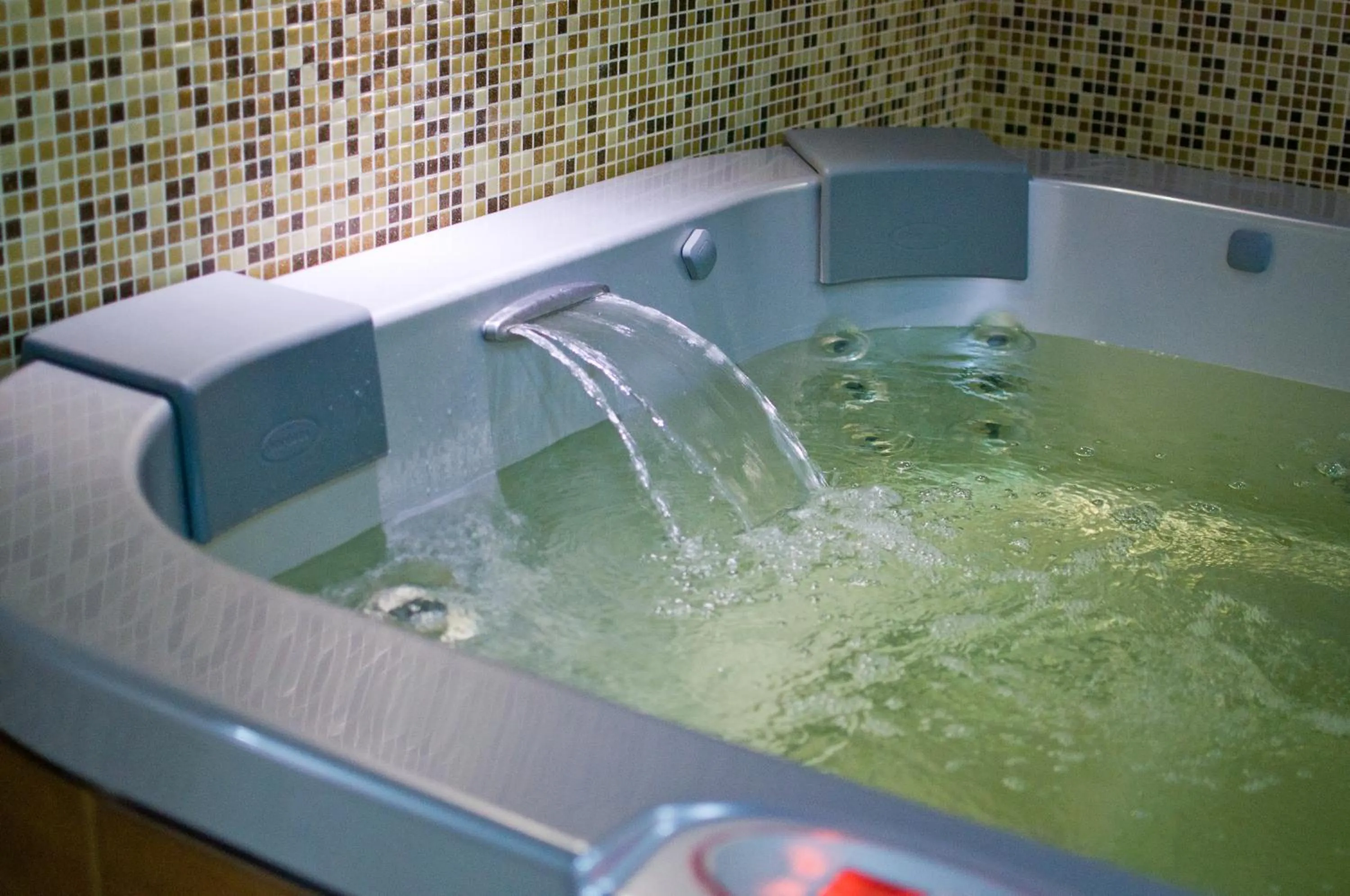 Hot Tub in Park-Hotel Golosievo