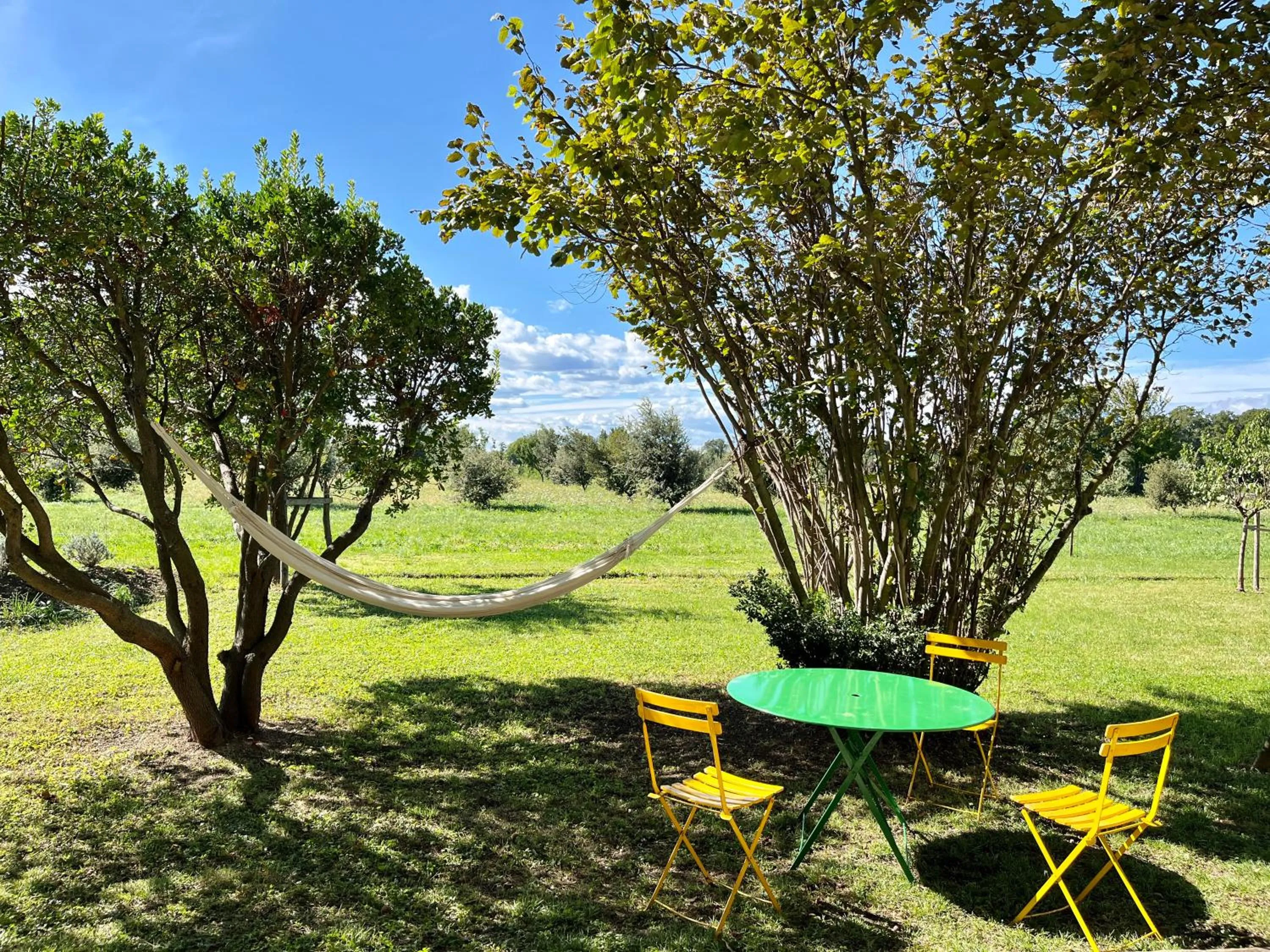 Garden in Le Mas Saint Jacques