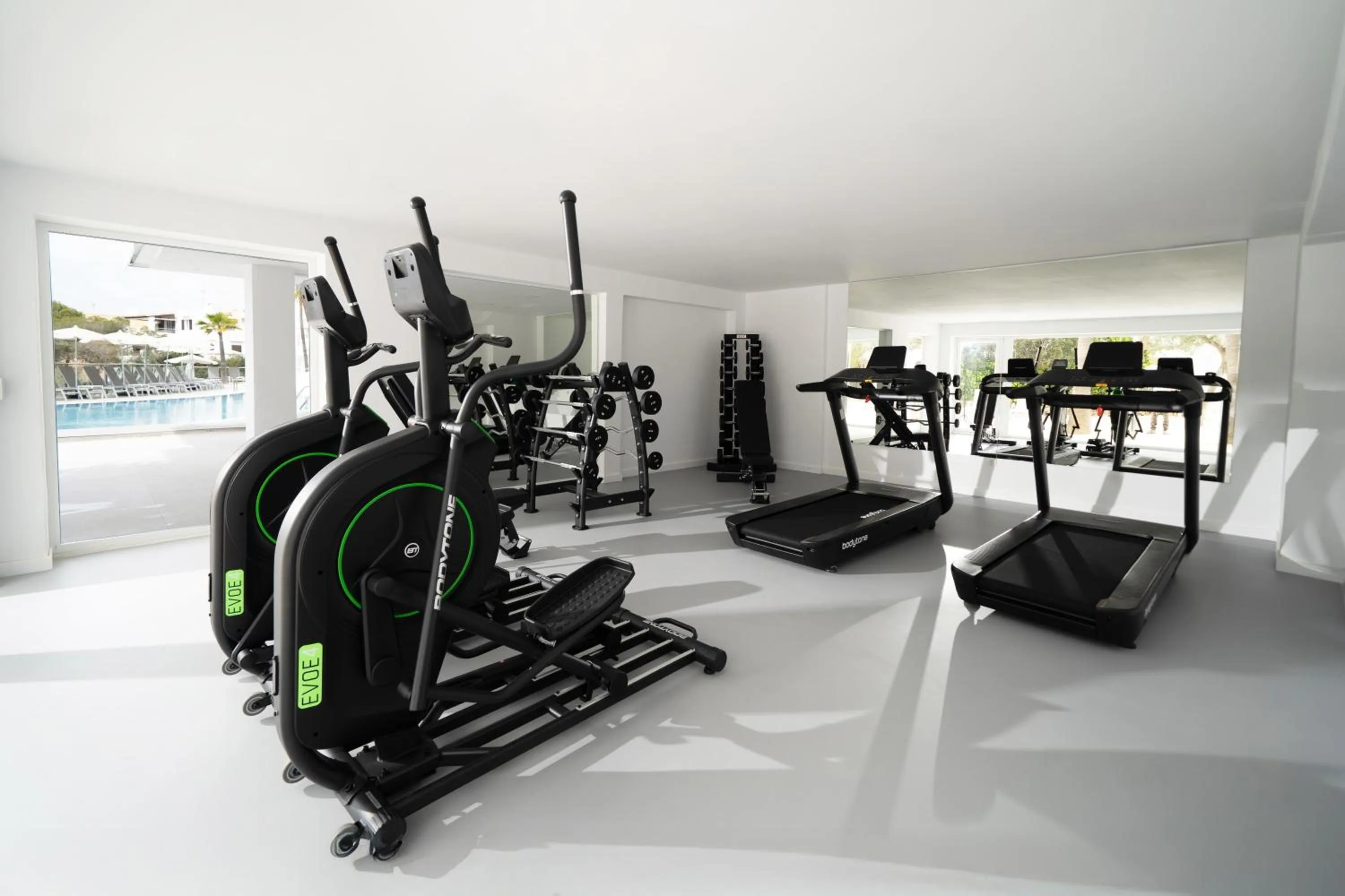 Activities in MarSenses Natura Olea Hotel - Adults Only