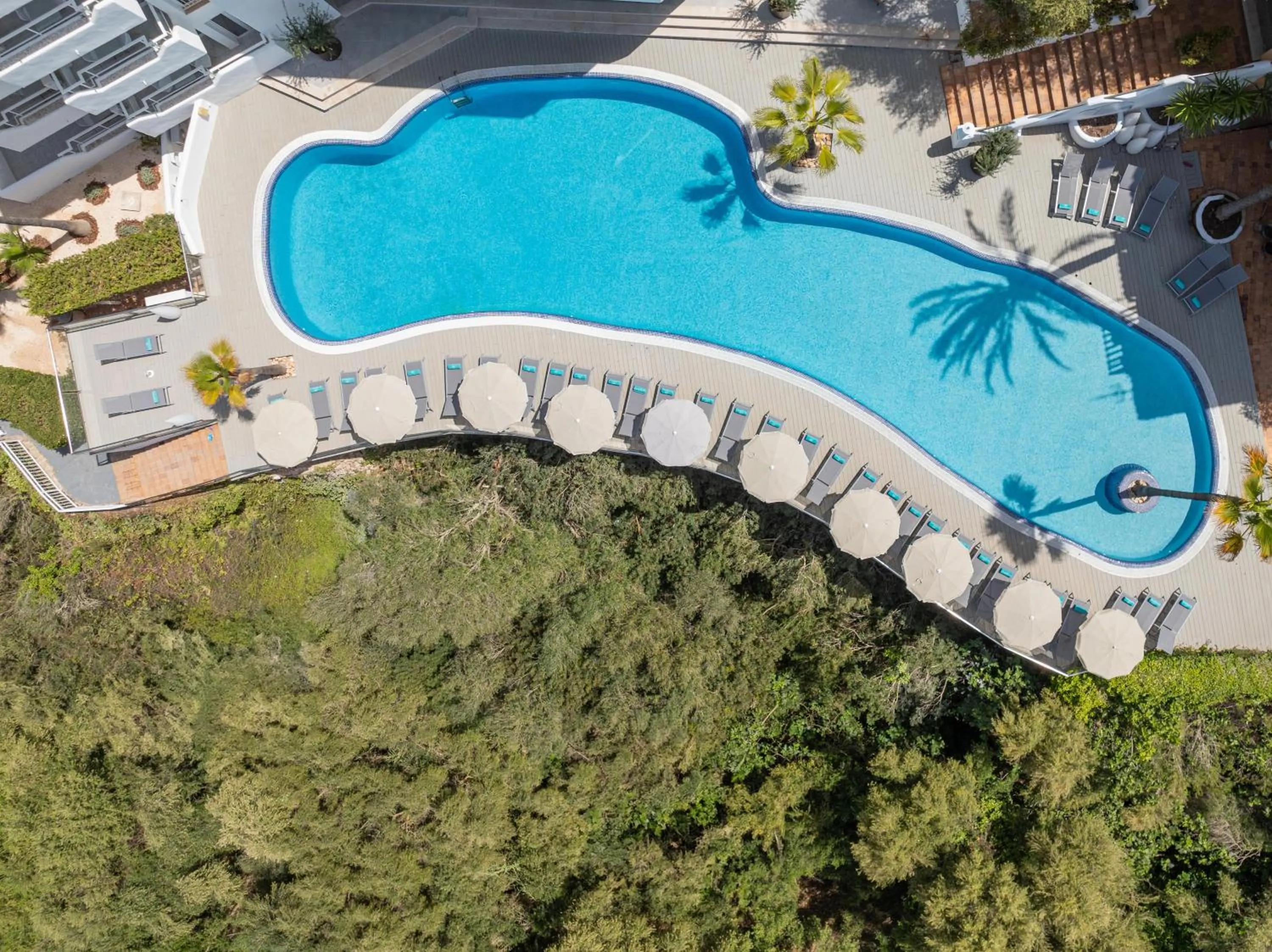 Swimming pool in MarSenses Natura Olea Hotel - Adults Only