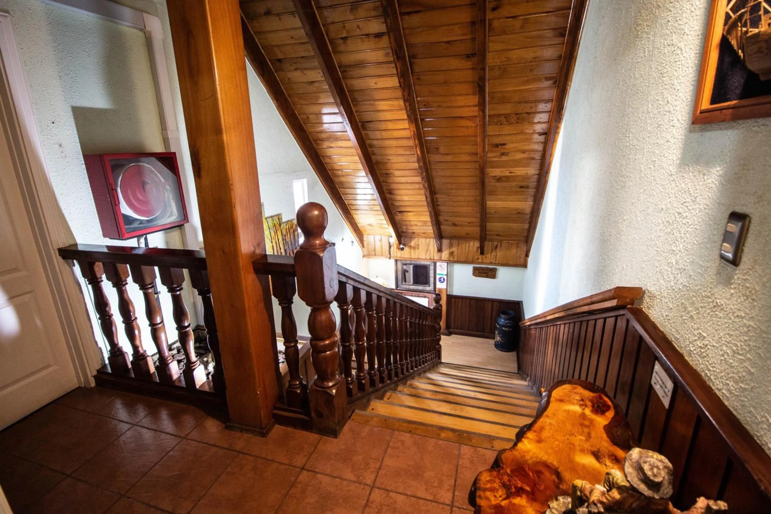 Other in Montepiedra Costanera Valdivia