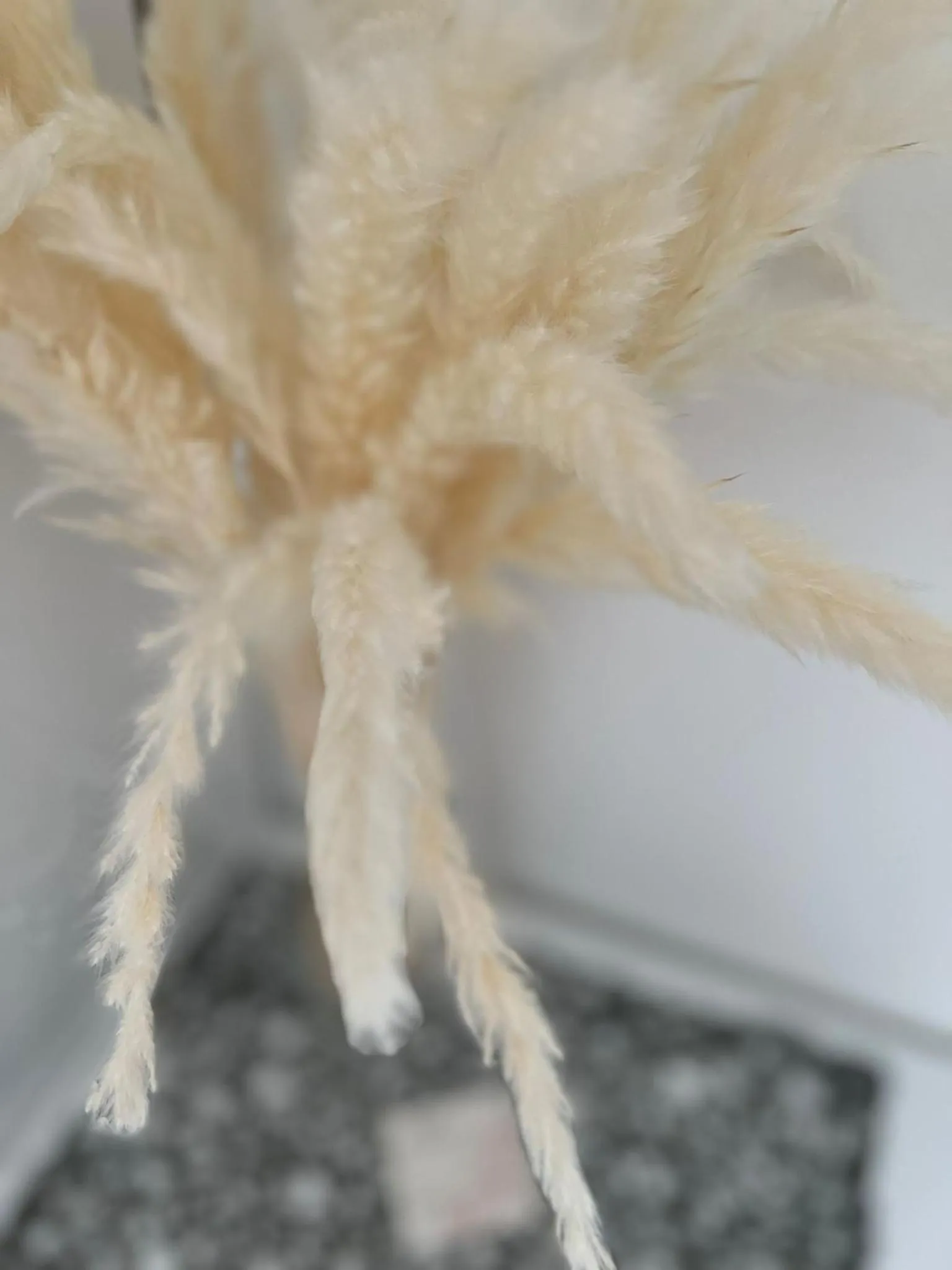 Decorative detail in Le Tre Rose