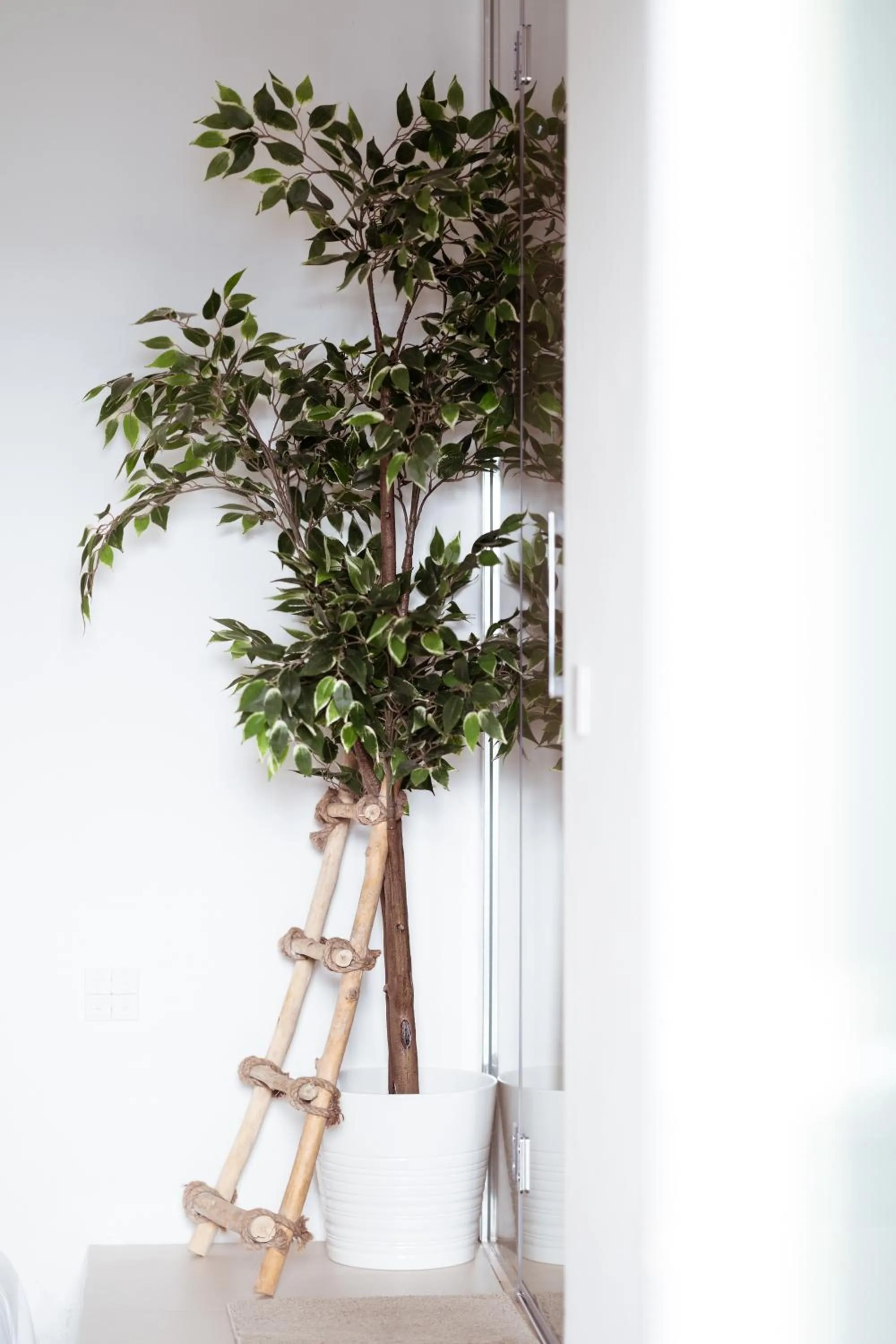 Decorative detail in Break for two