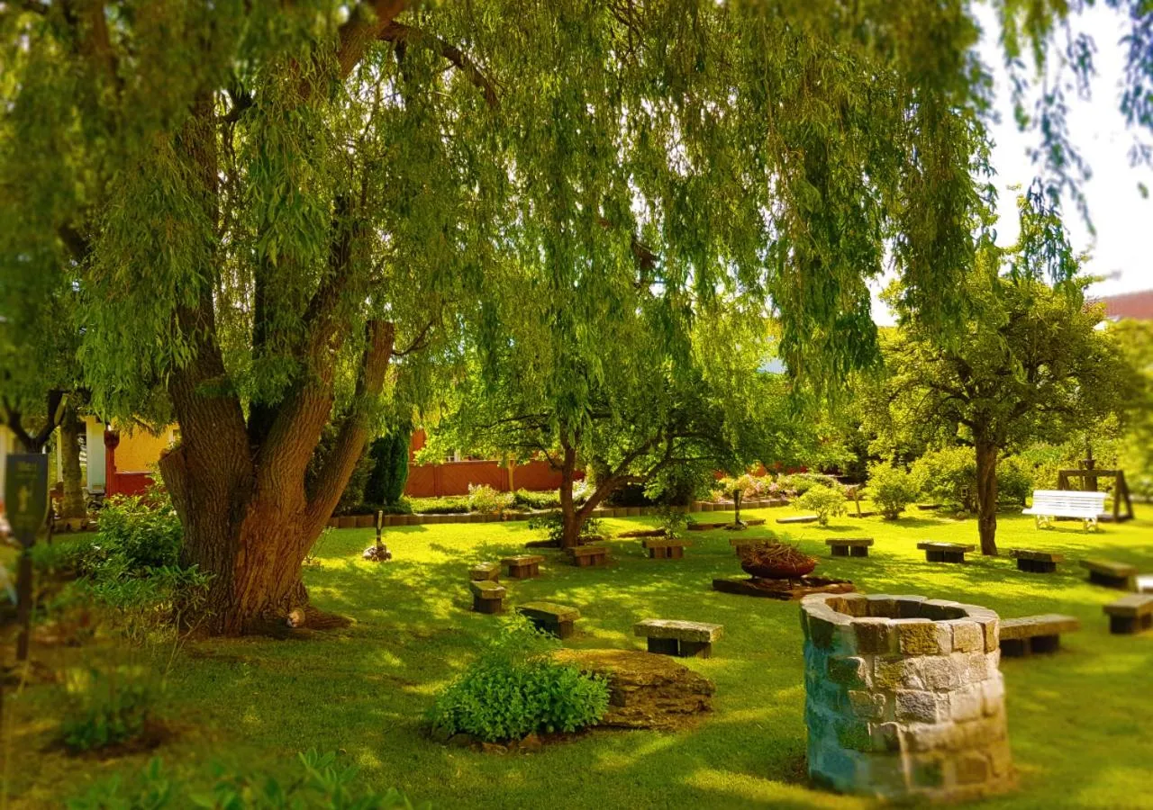 Garden view in BinzHotel Landhaus Waechter