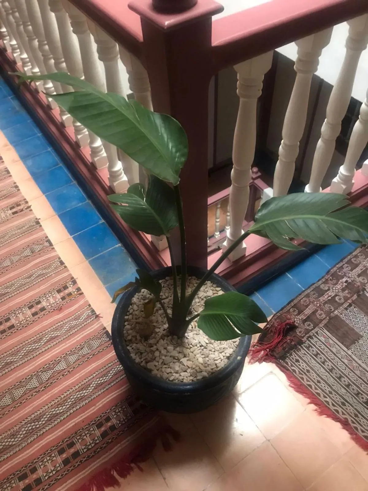 Property building in Hôtel Riad Gnaoua