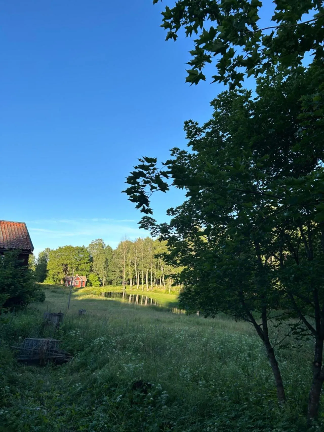 View (from property/room) in Klackbergsgården