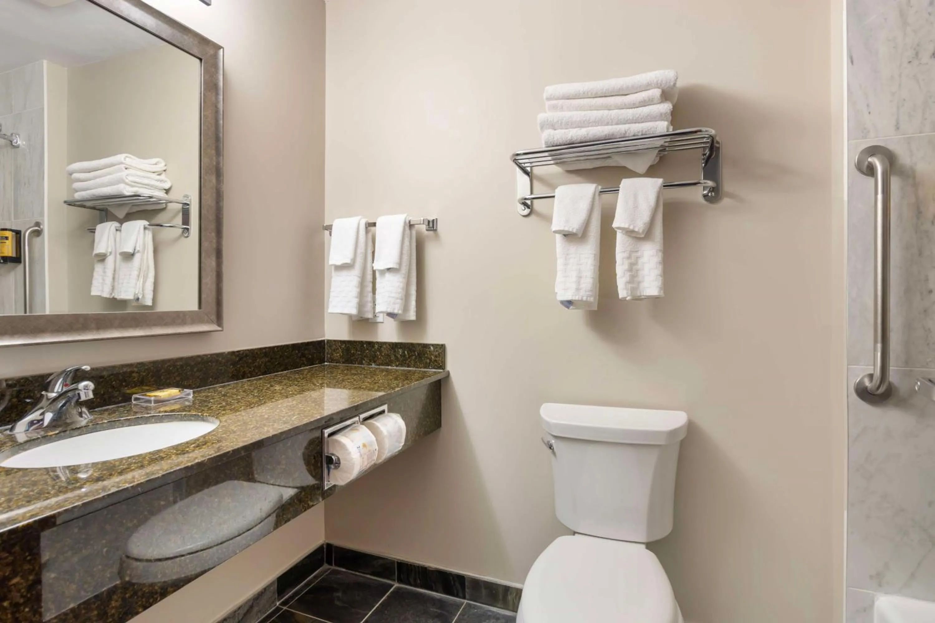 Bathroom in Best Western Plus Brandon Inn