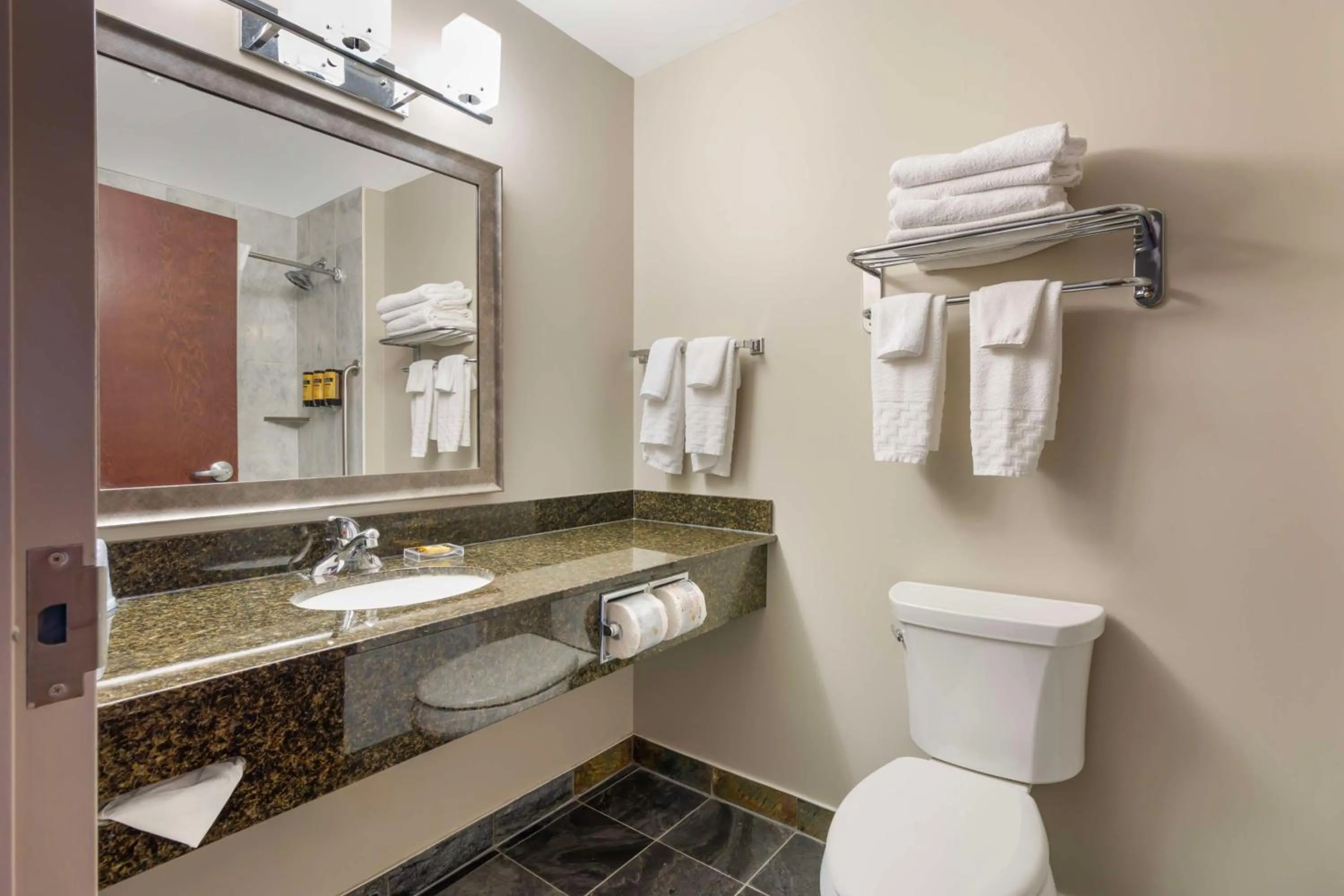 Bathroom in Best Western Plus Brandon Inn