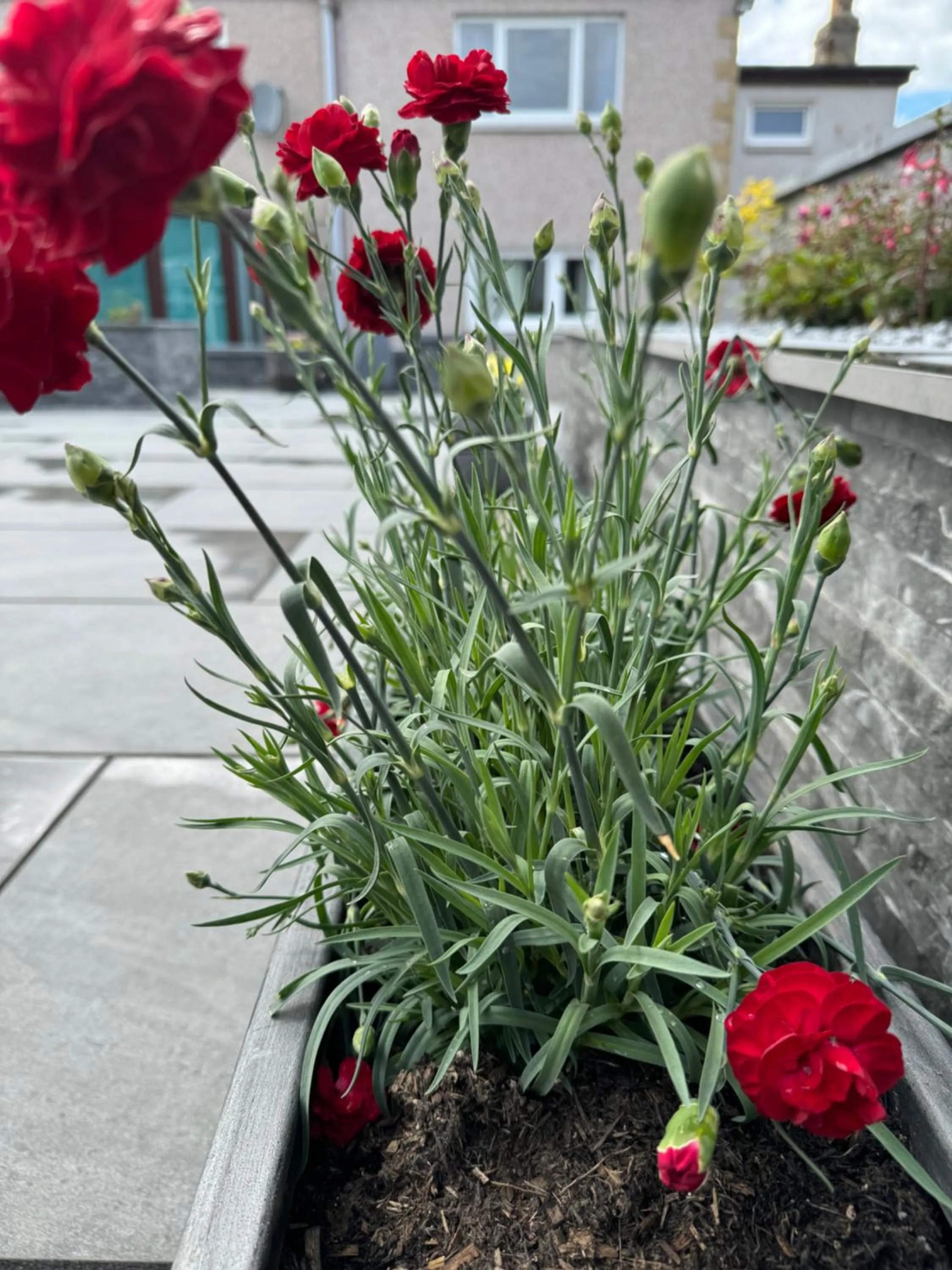 The Milton Accommodation