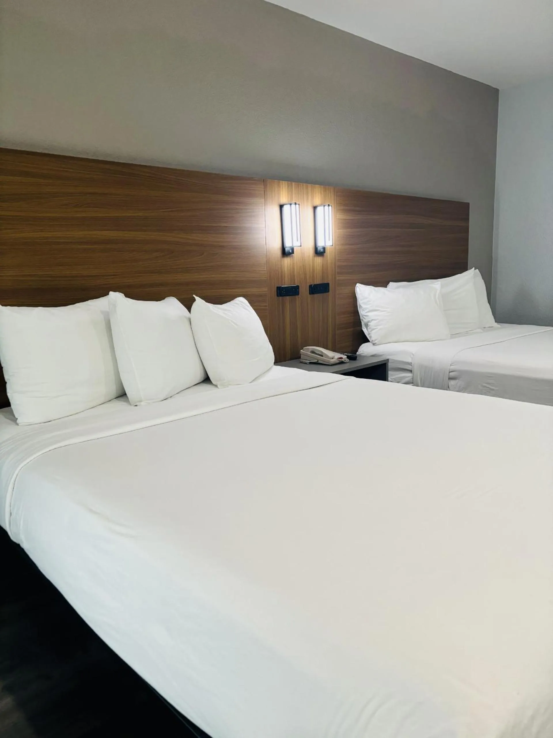 Bed in Motel 6-Santa Ana, CA