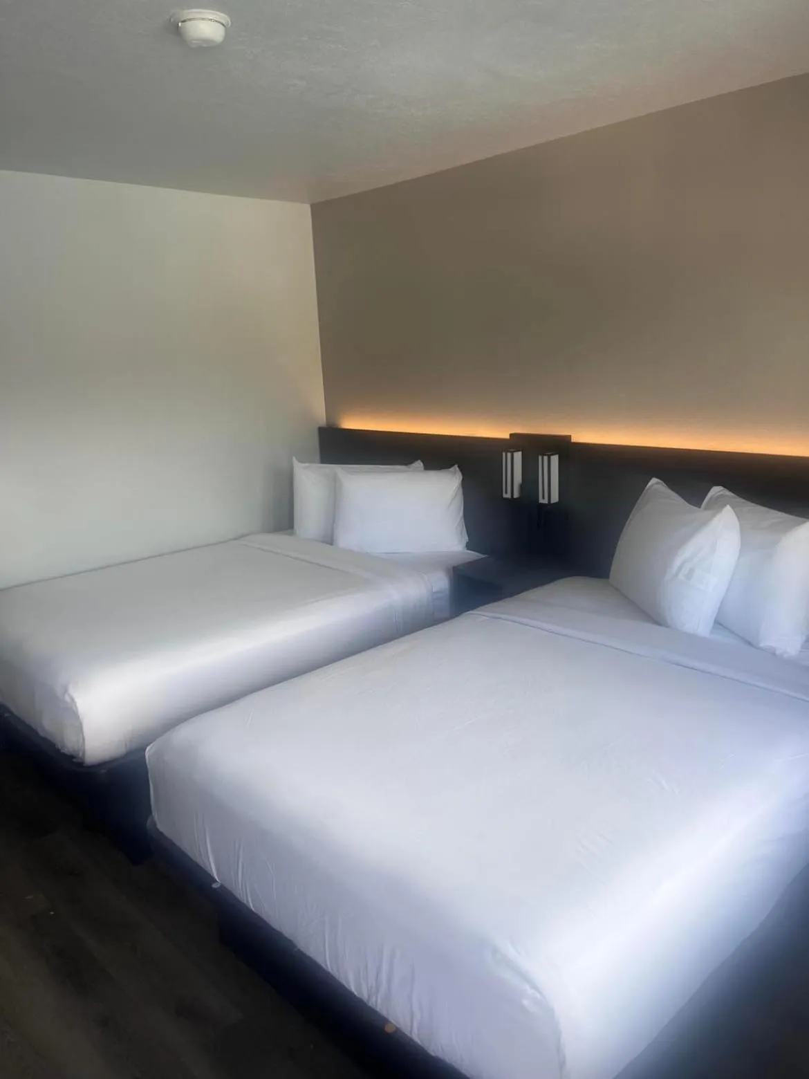 Bedroom, Bed in Motel 6-Orlando, FL - Winter Park