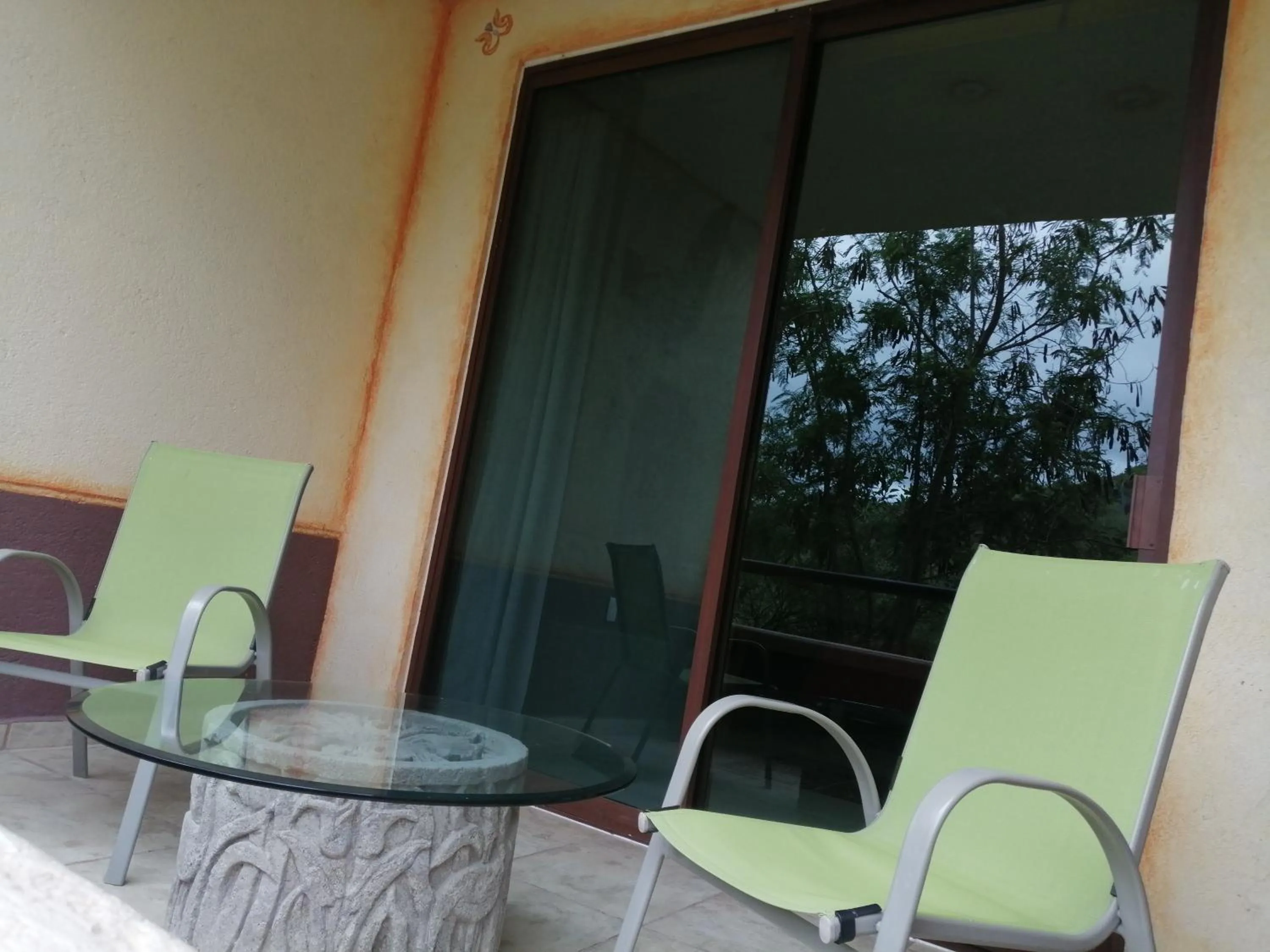 Hotel Casa del Arbol