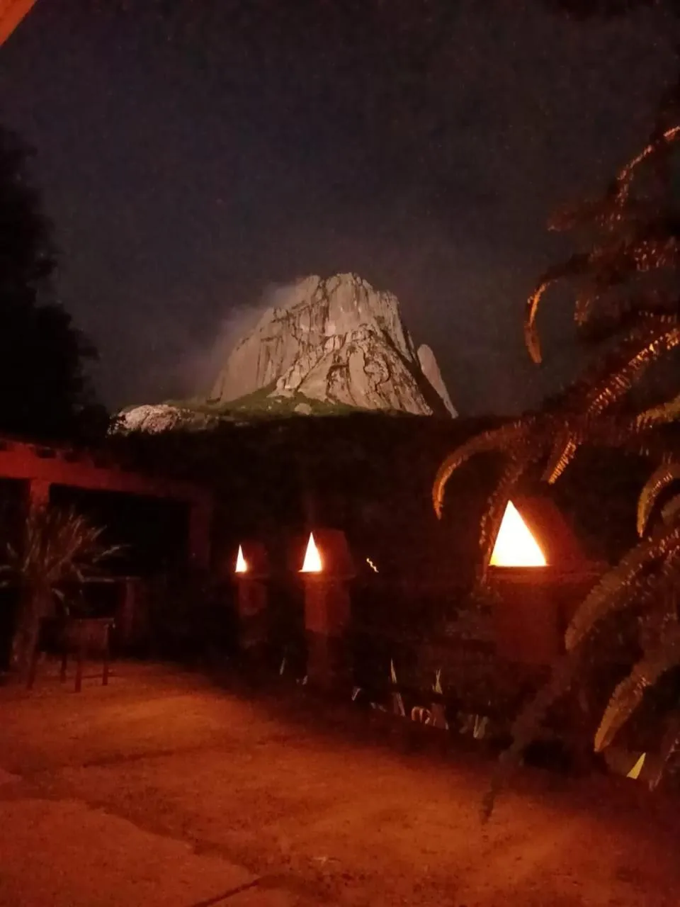 Hotel Casa del Arbol